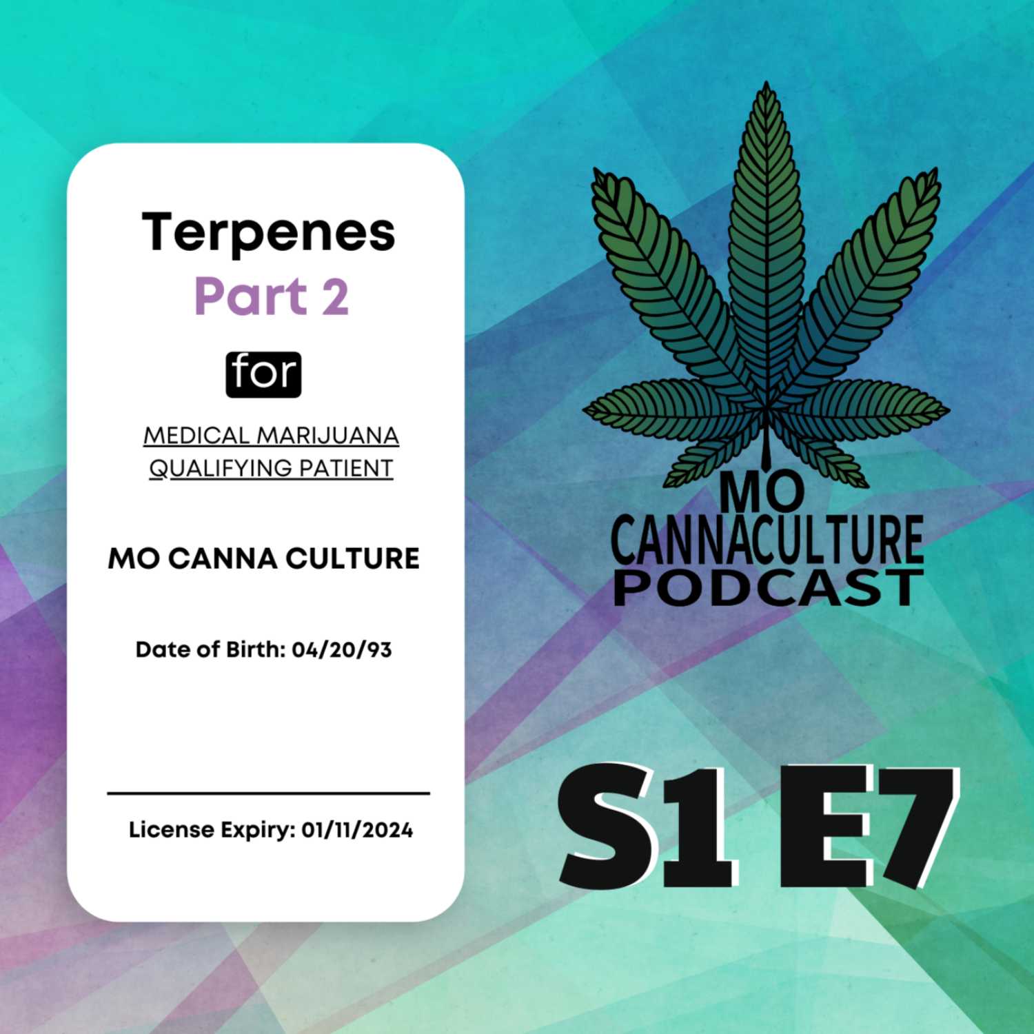 Episode 7: Terpenes part 2 episode artwork