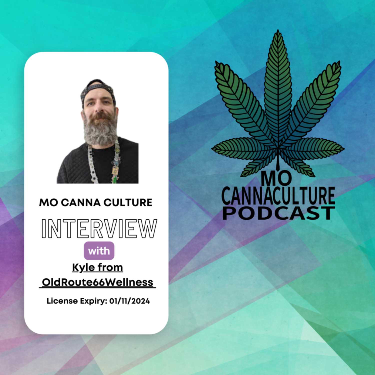Live Show: Interview with Kyle from OldRoute66Wellness and strain review of Finnish Frost by Robust episode artwork