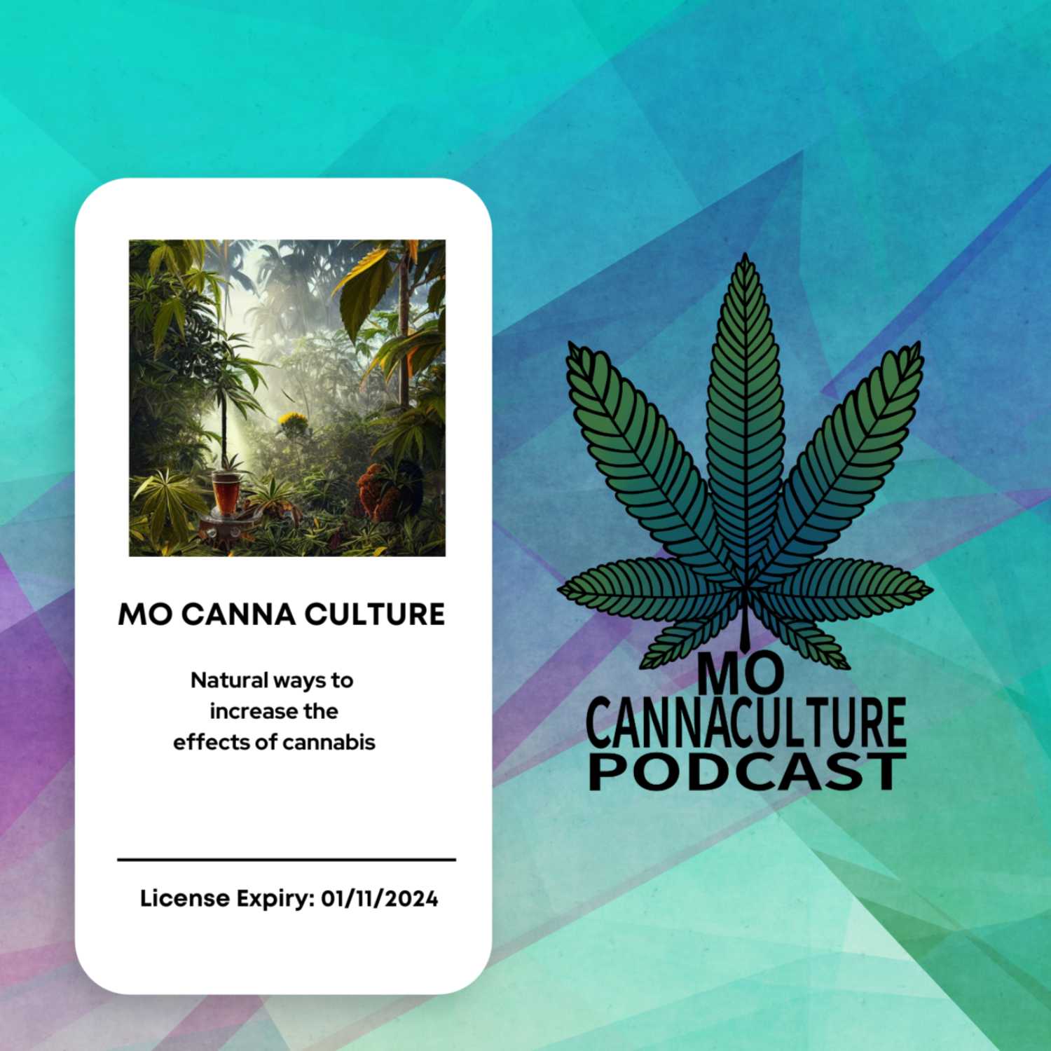 Fruity Ways To Creatively Increase The Effects of Cannabis episode artwork
