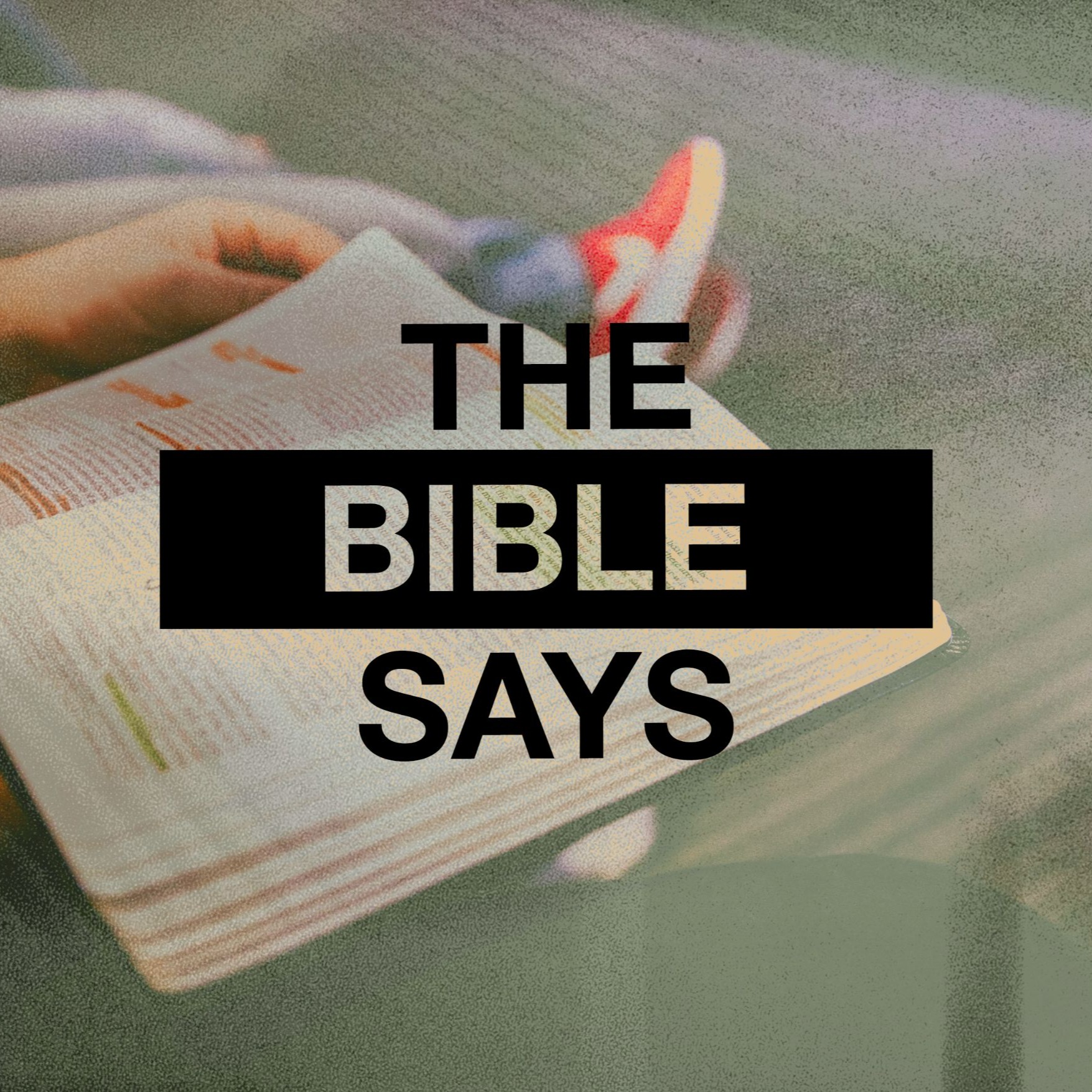 The Bible Says: Final Judgement  episode artwork