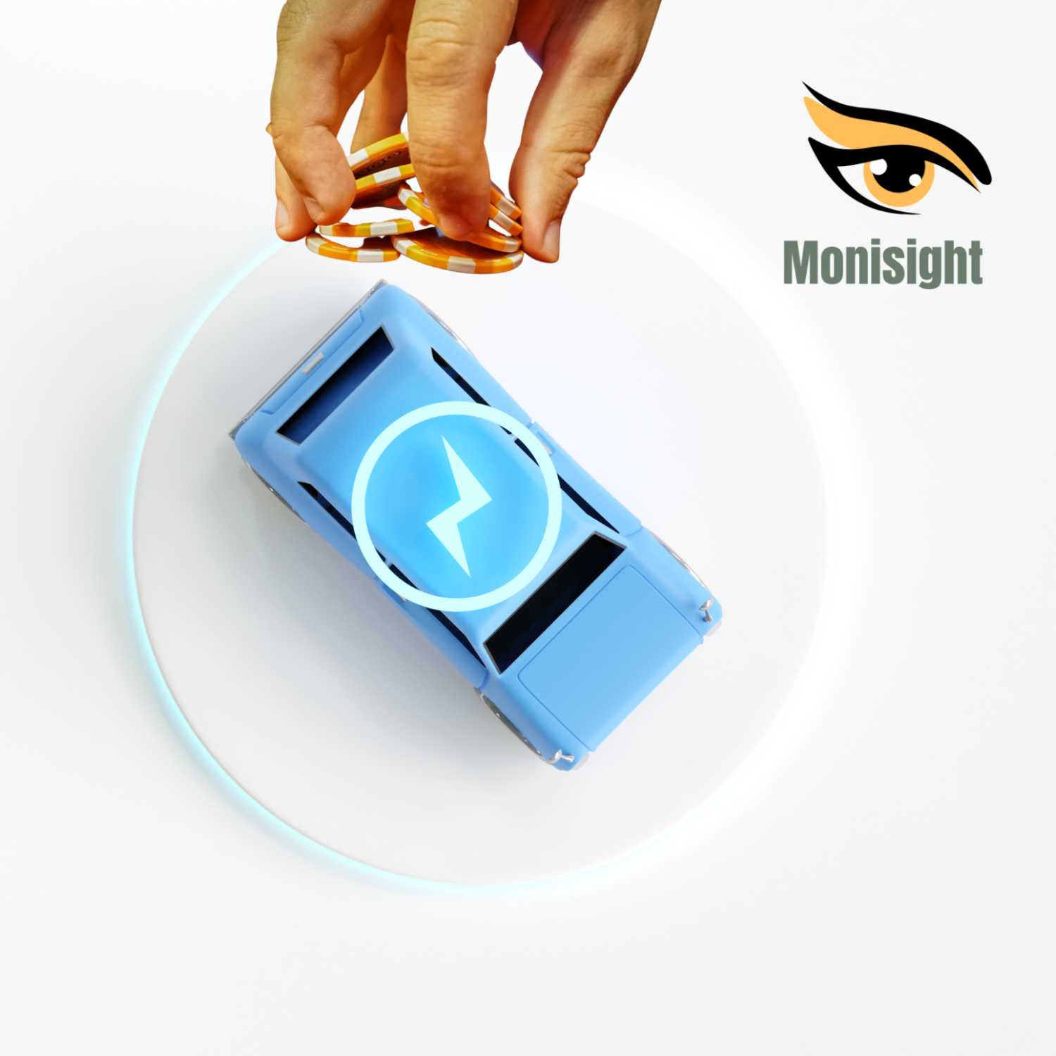 Monisight