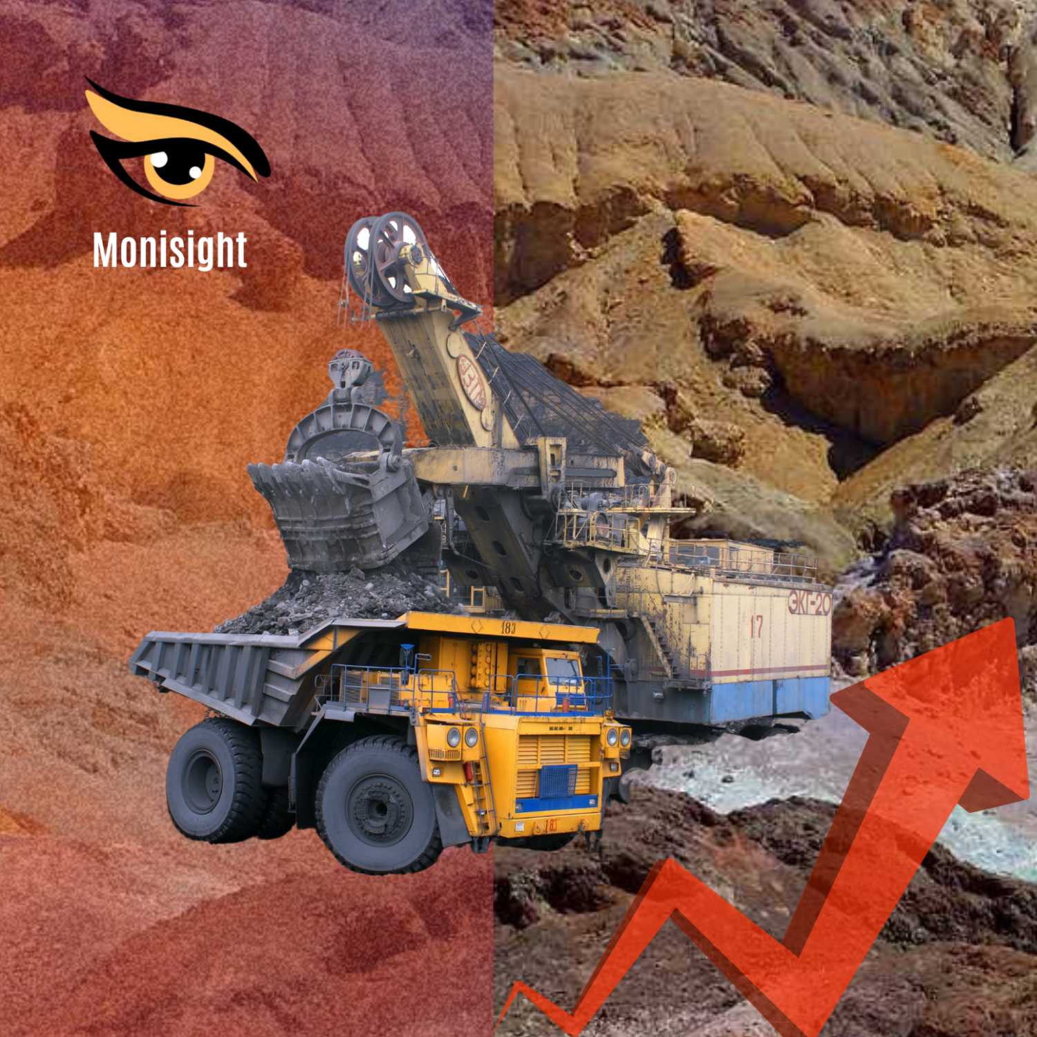 Monisight