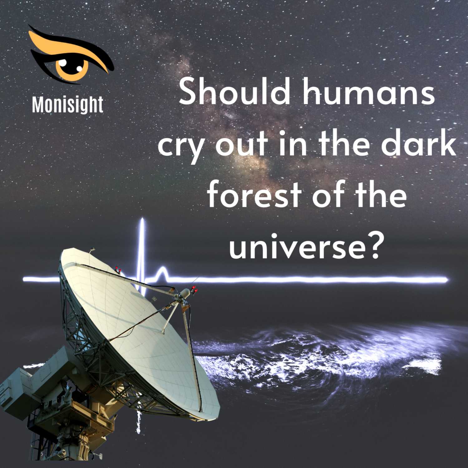 Monisight