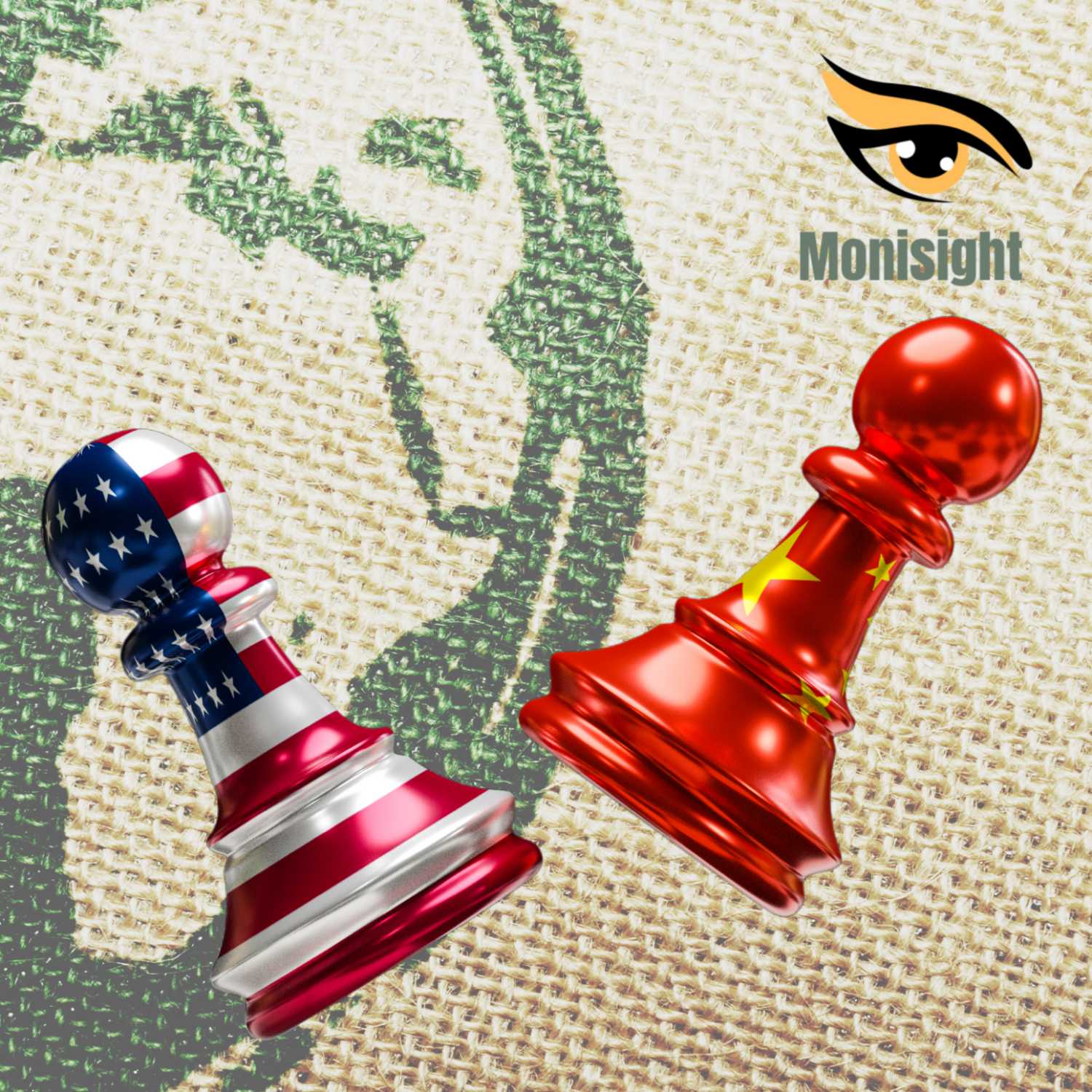 Monisight