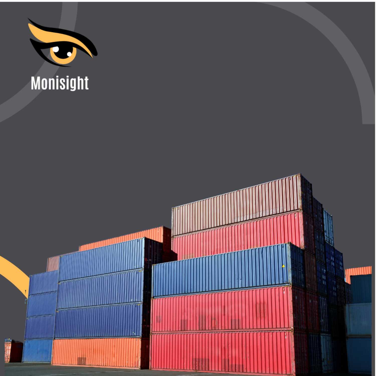 Monisight