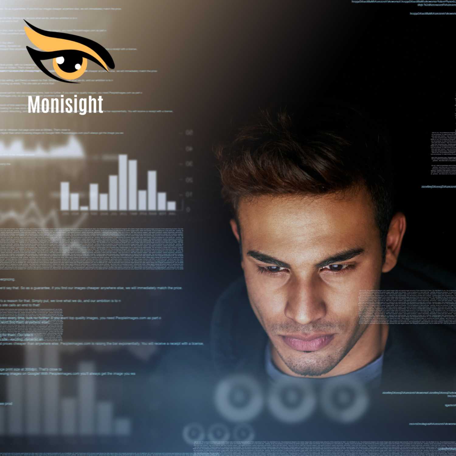 Monisight