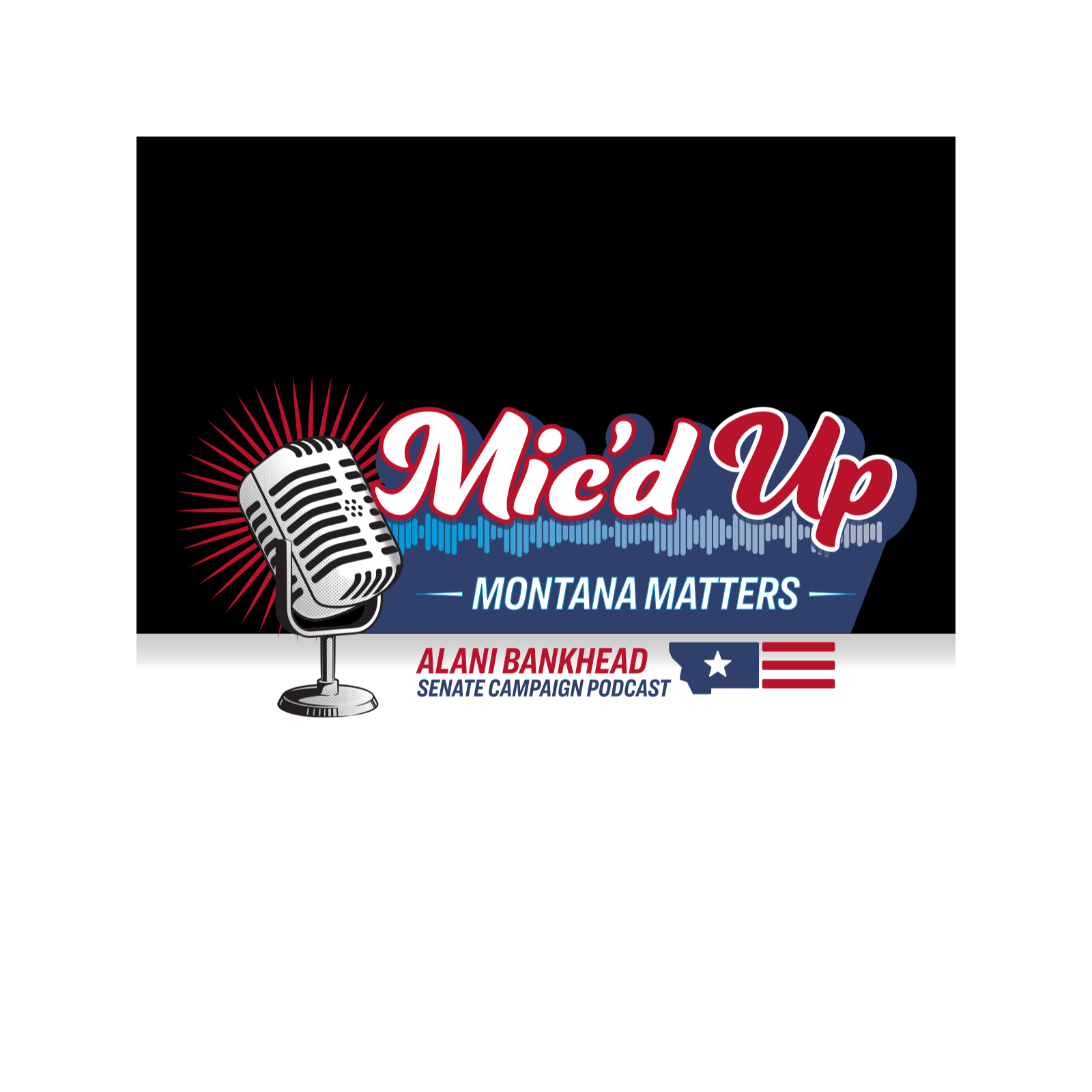 Montana Matters cover art