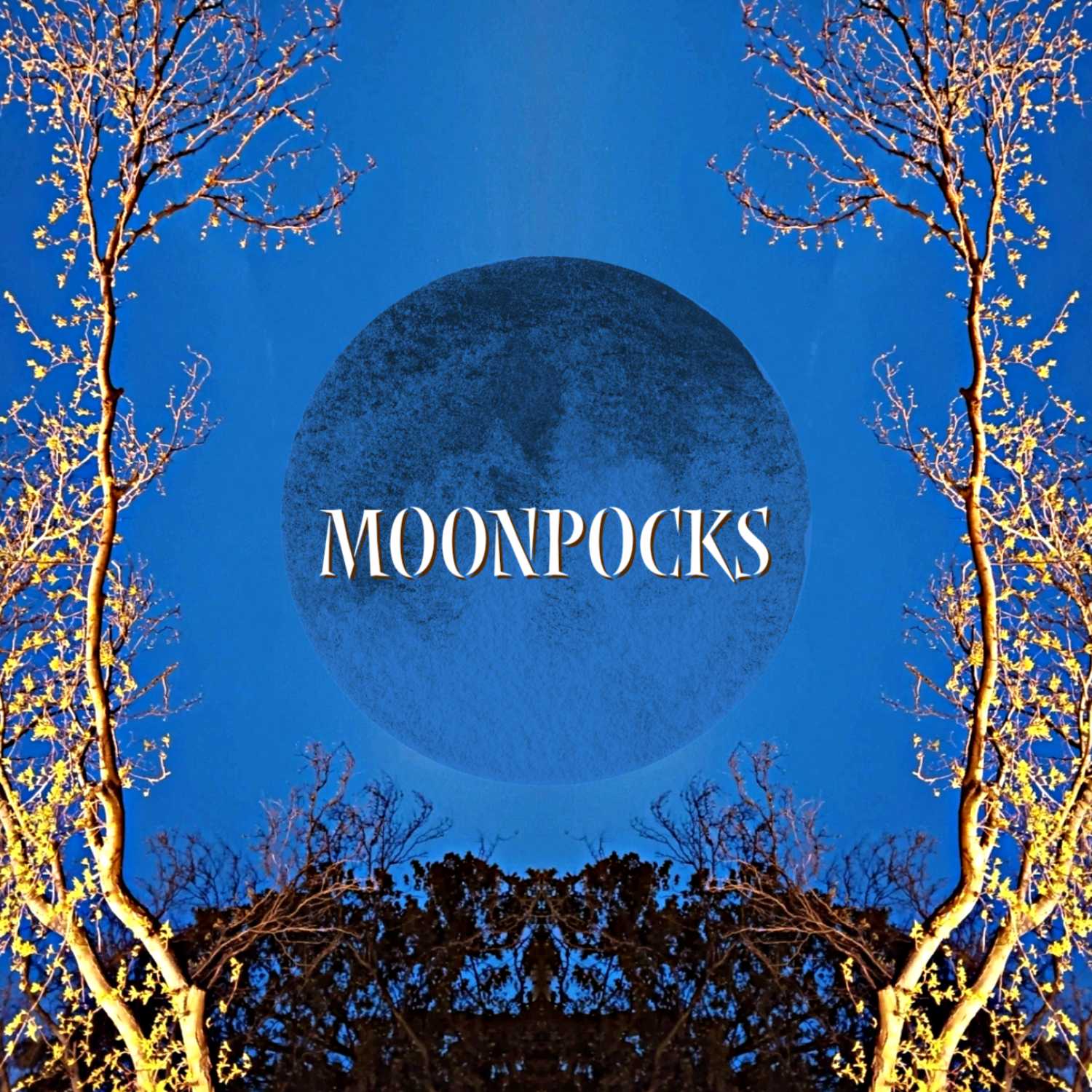 Moonpocks