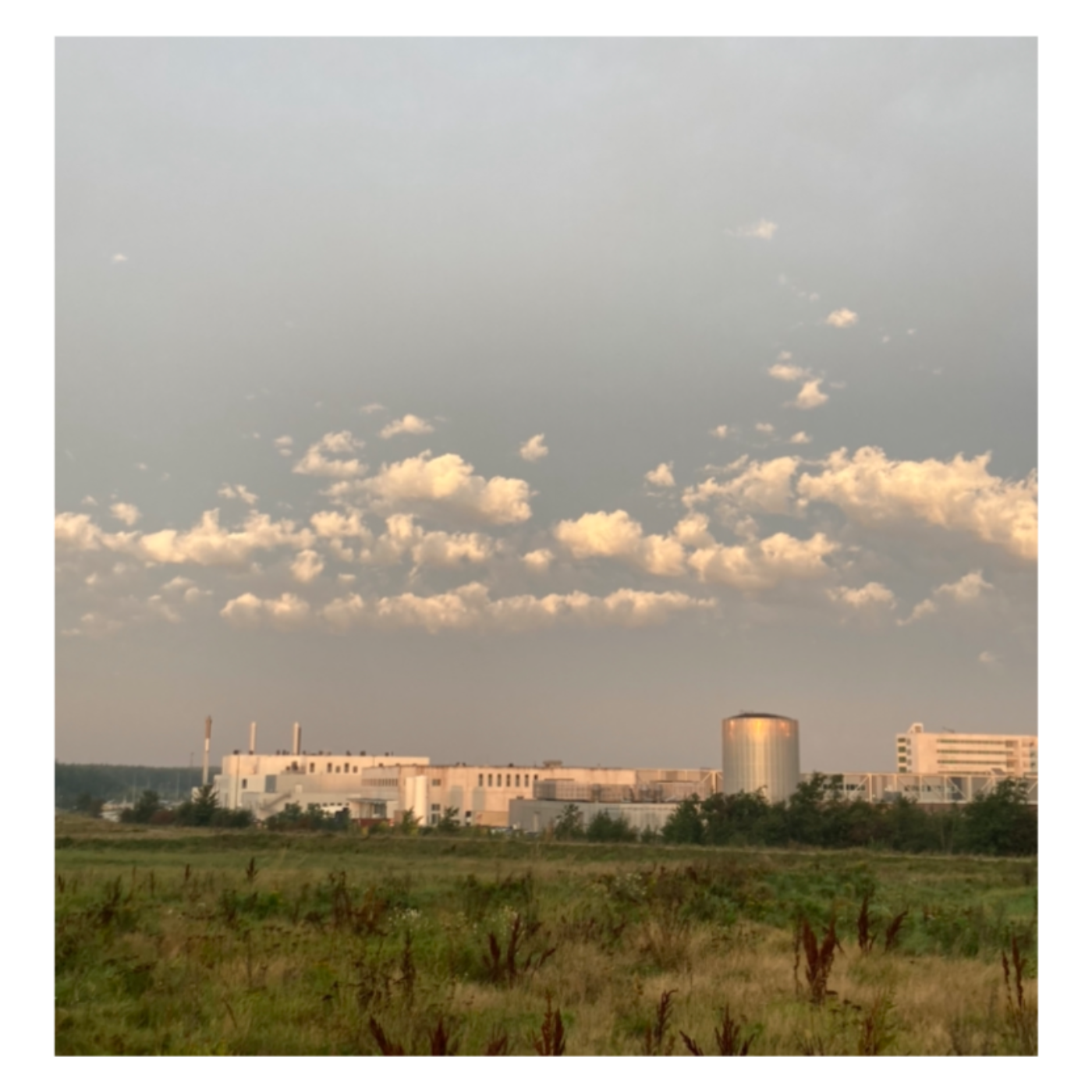 Morgenprogrammet mellem os 