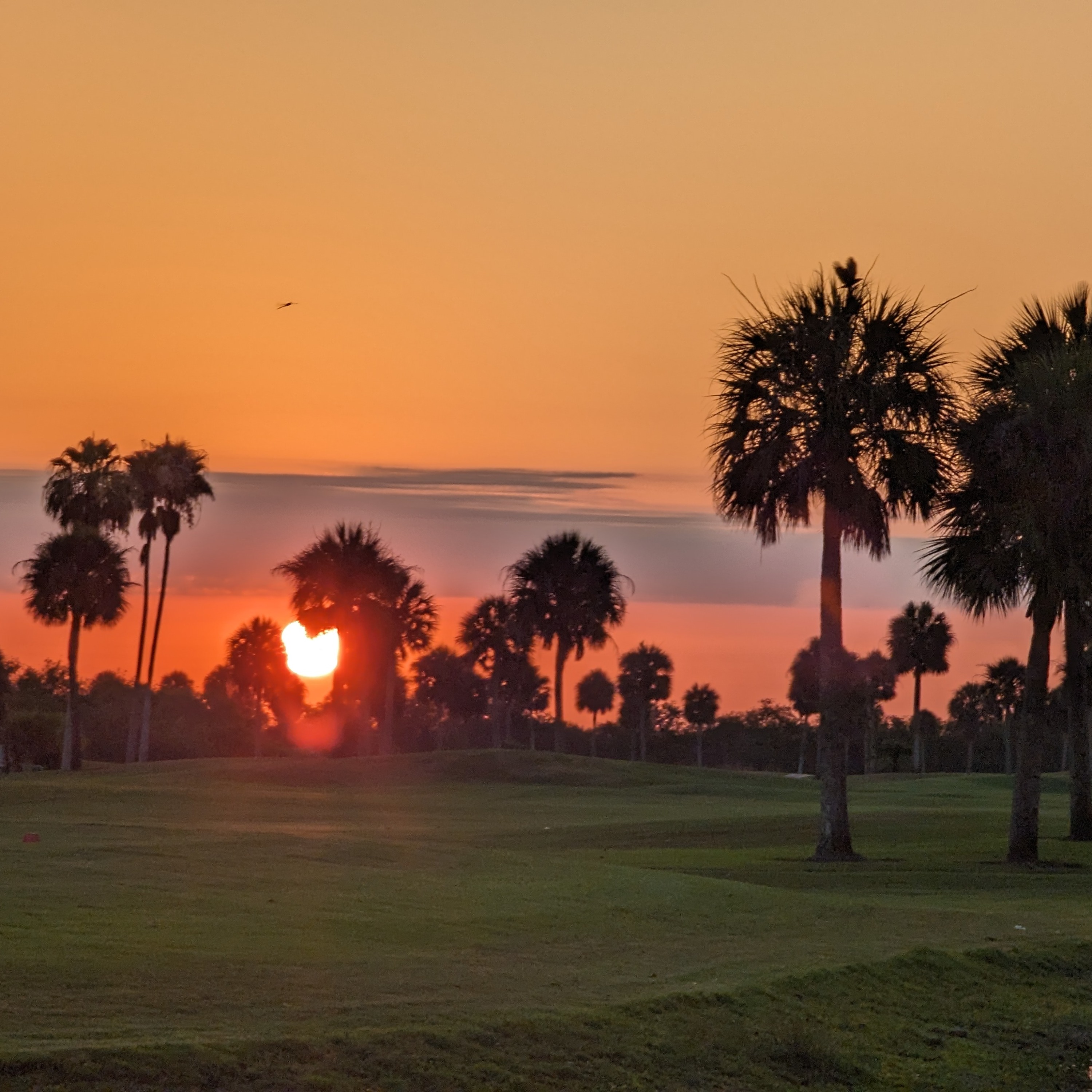 Morning Coffee with Mark