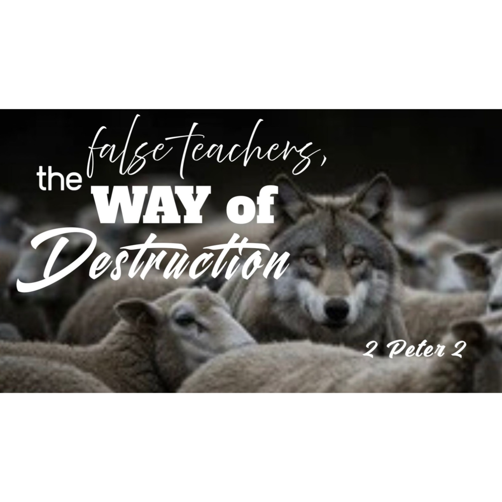 The Word  God Said -  False Teachers, The Way To Destruction - 2 Peter 2:1-3   pt.1 episode artwork