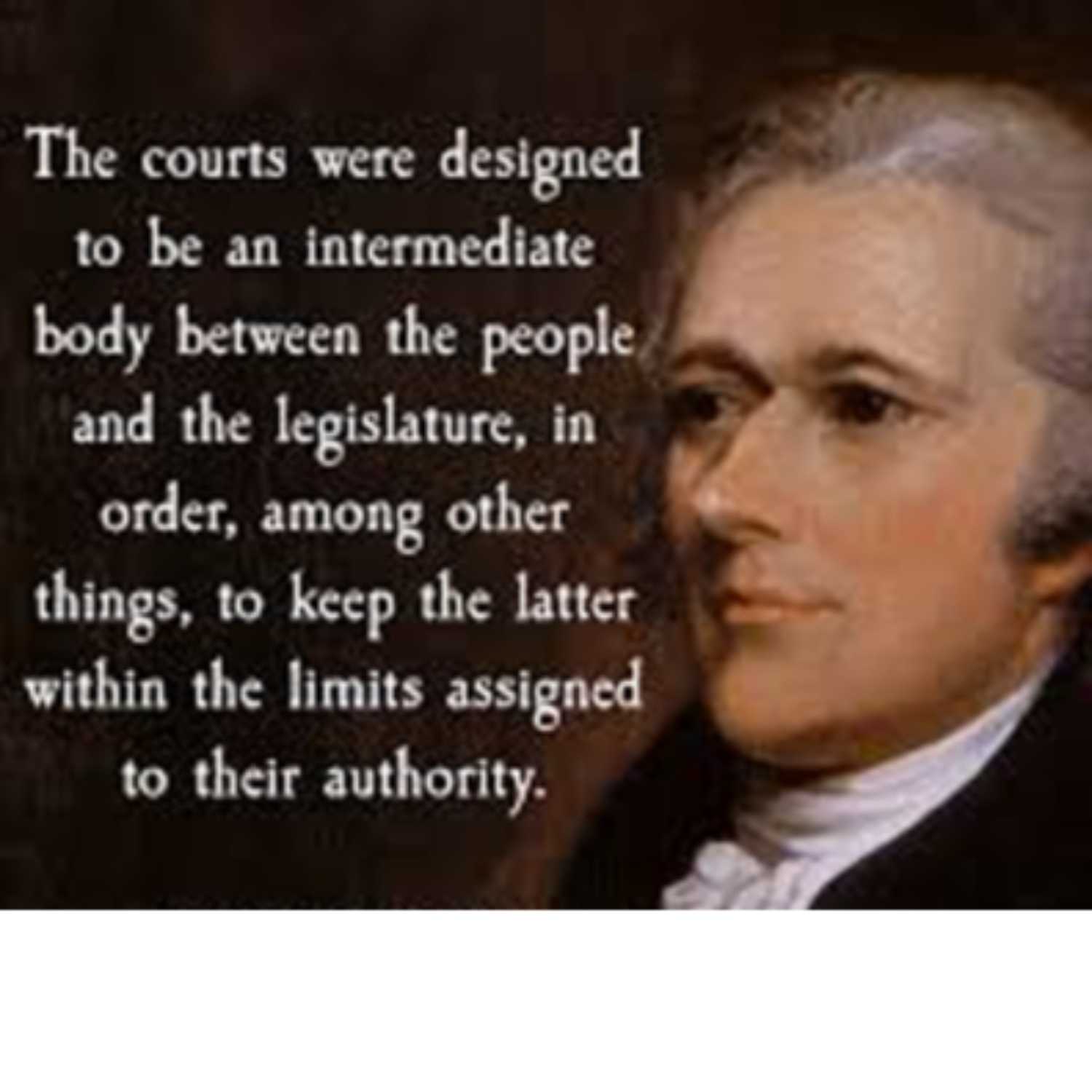 Foundational Documents Explained:Federalist 78