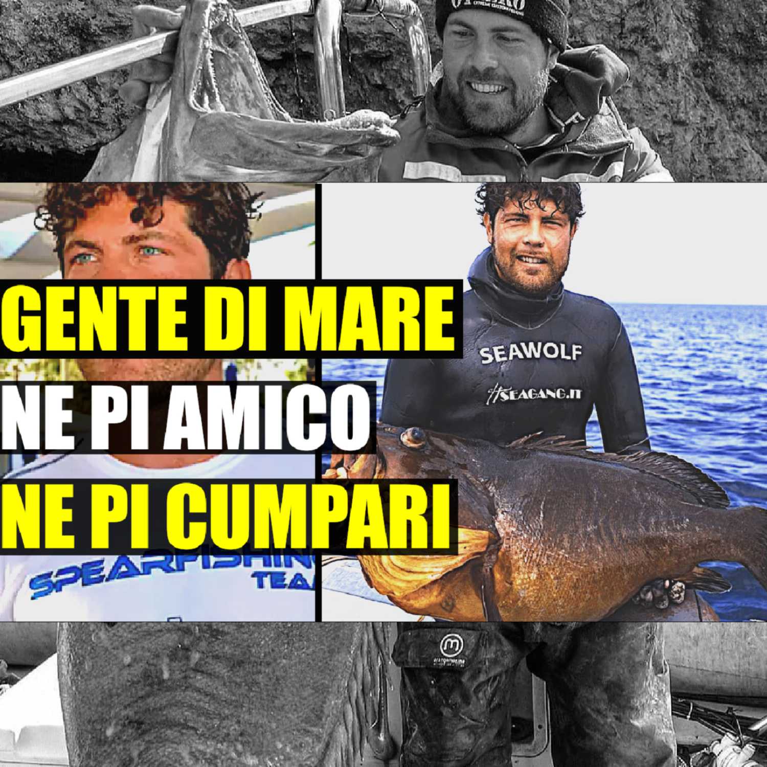 MSA Contro Corrente