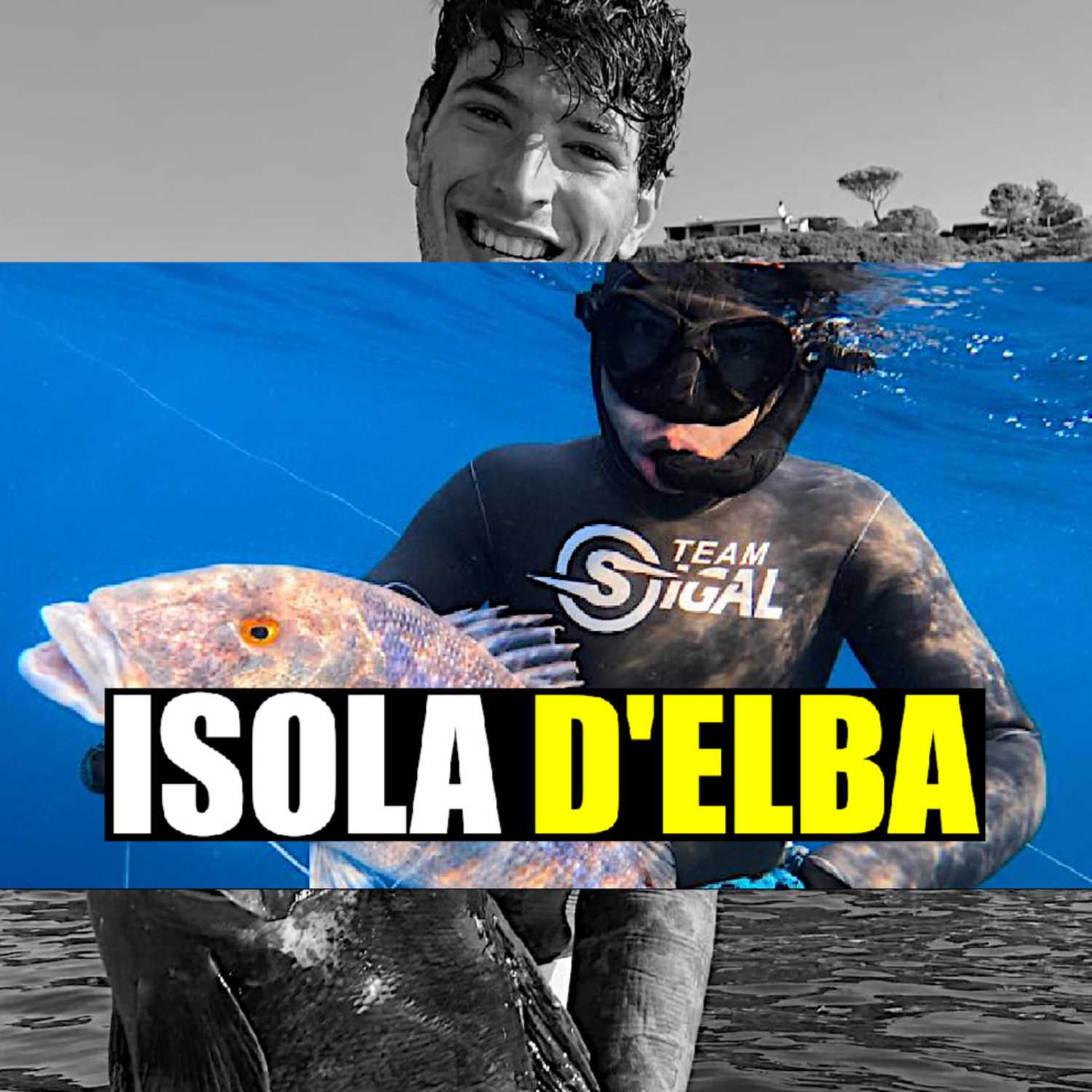 MSA Contro Corrente