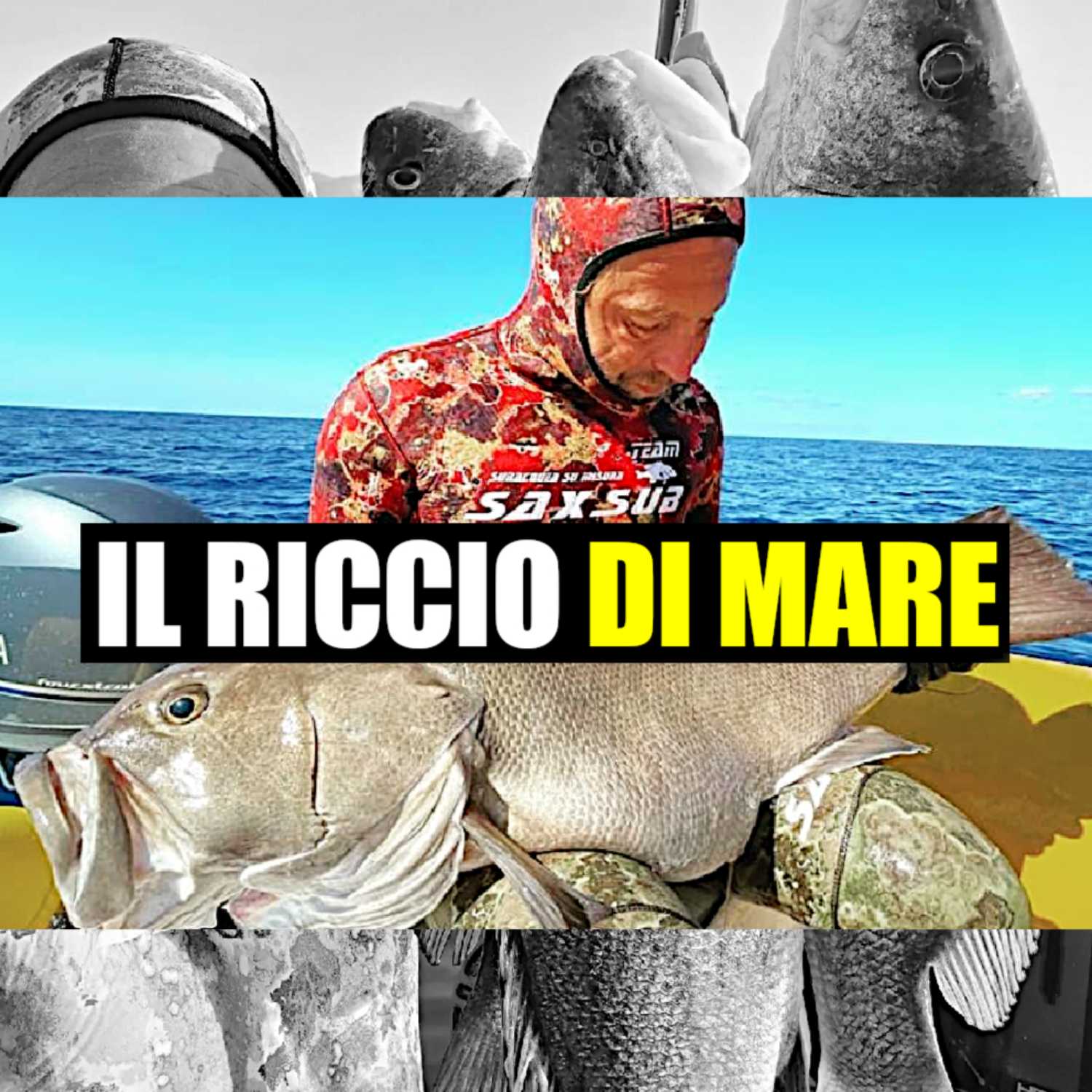 MSA Contro Corrente