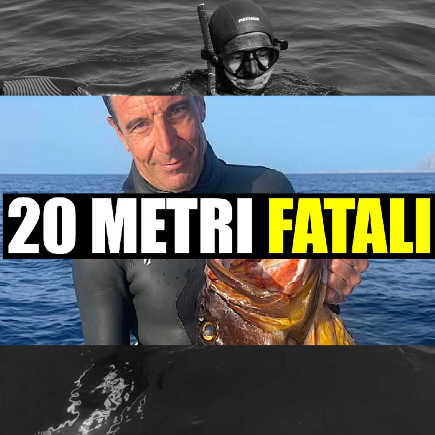 MSA Contro Corrente