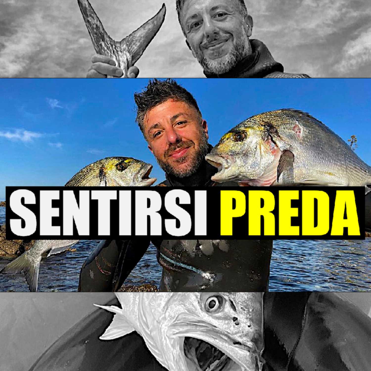 MSA Contro Corrente