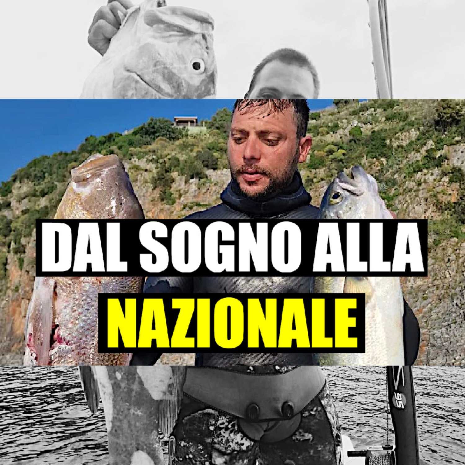MSA Contro Corrente