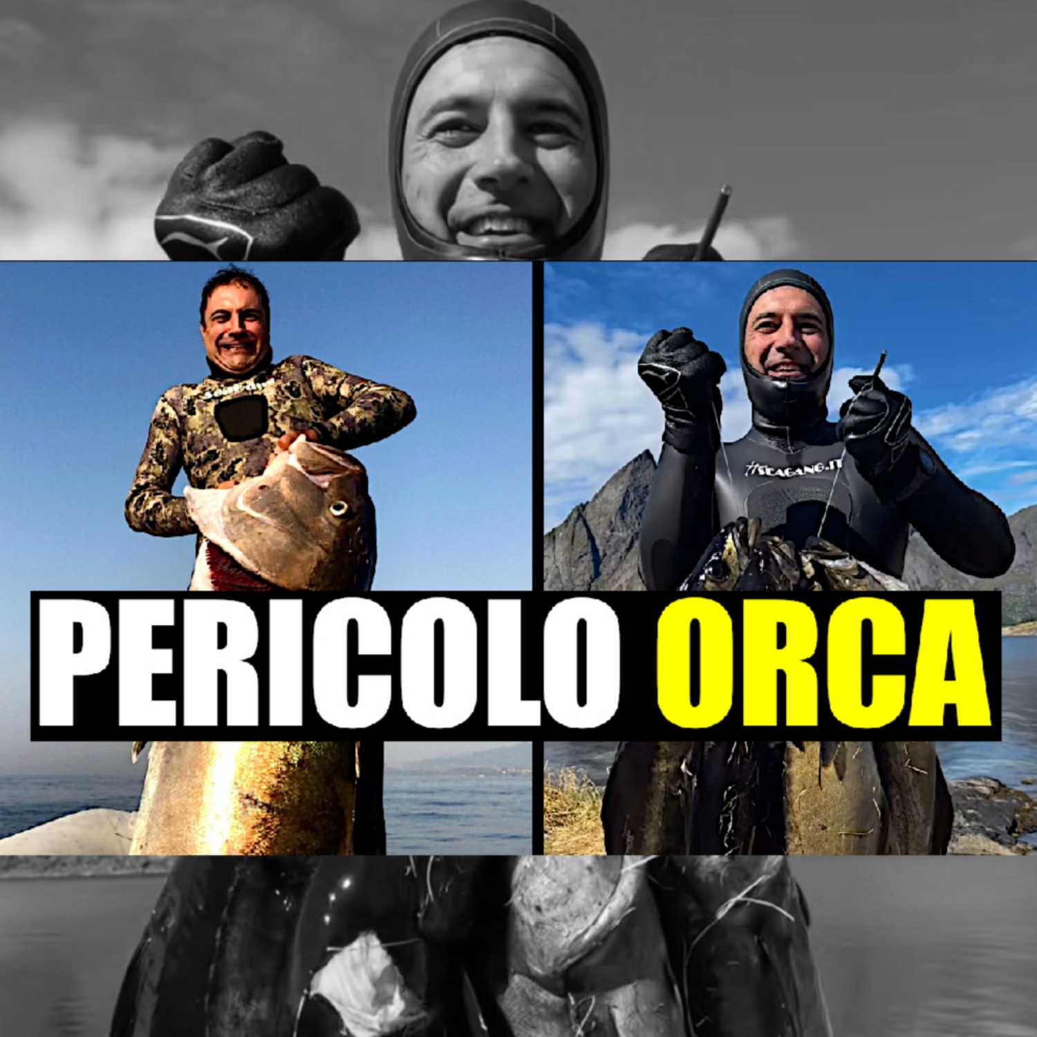 MSA Contro Corrente