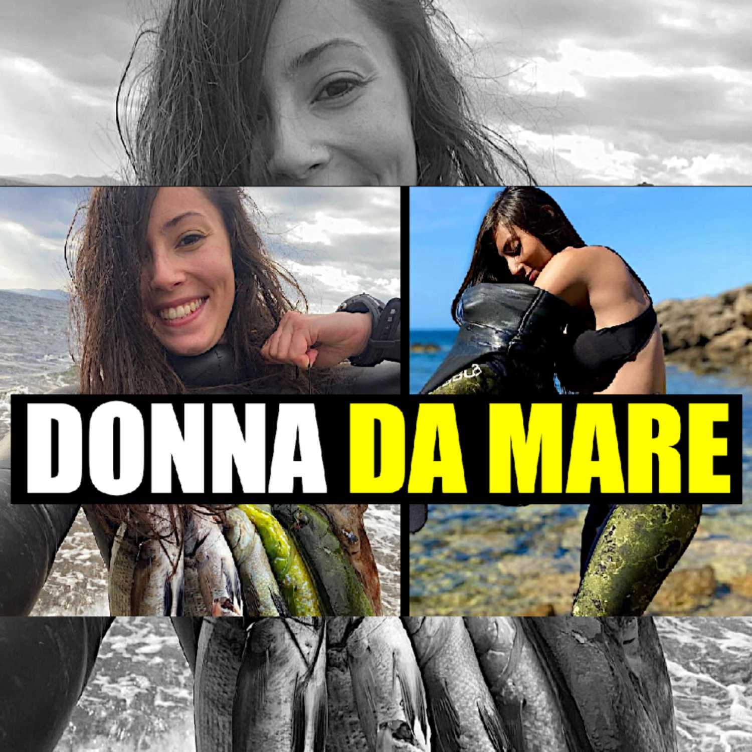 MSA Contro Corrente