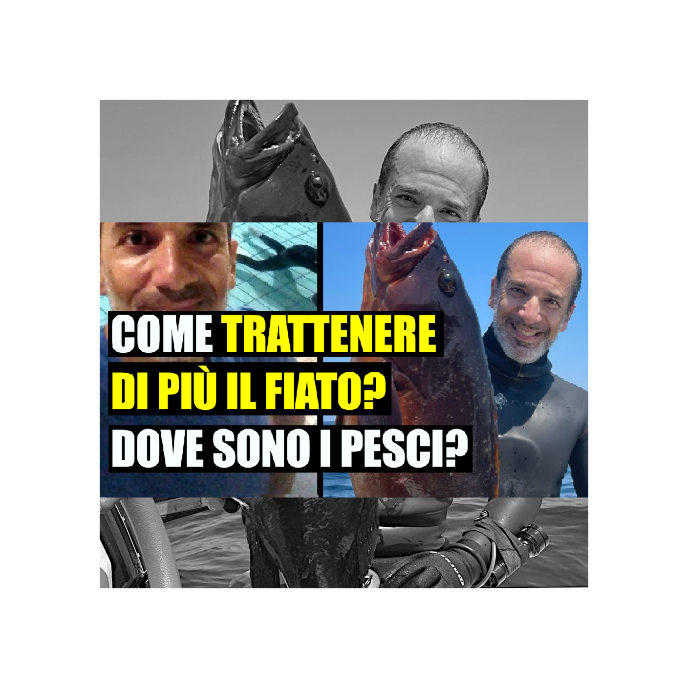 MSA Contro Corrente