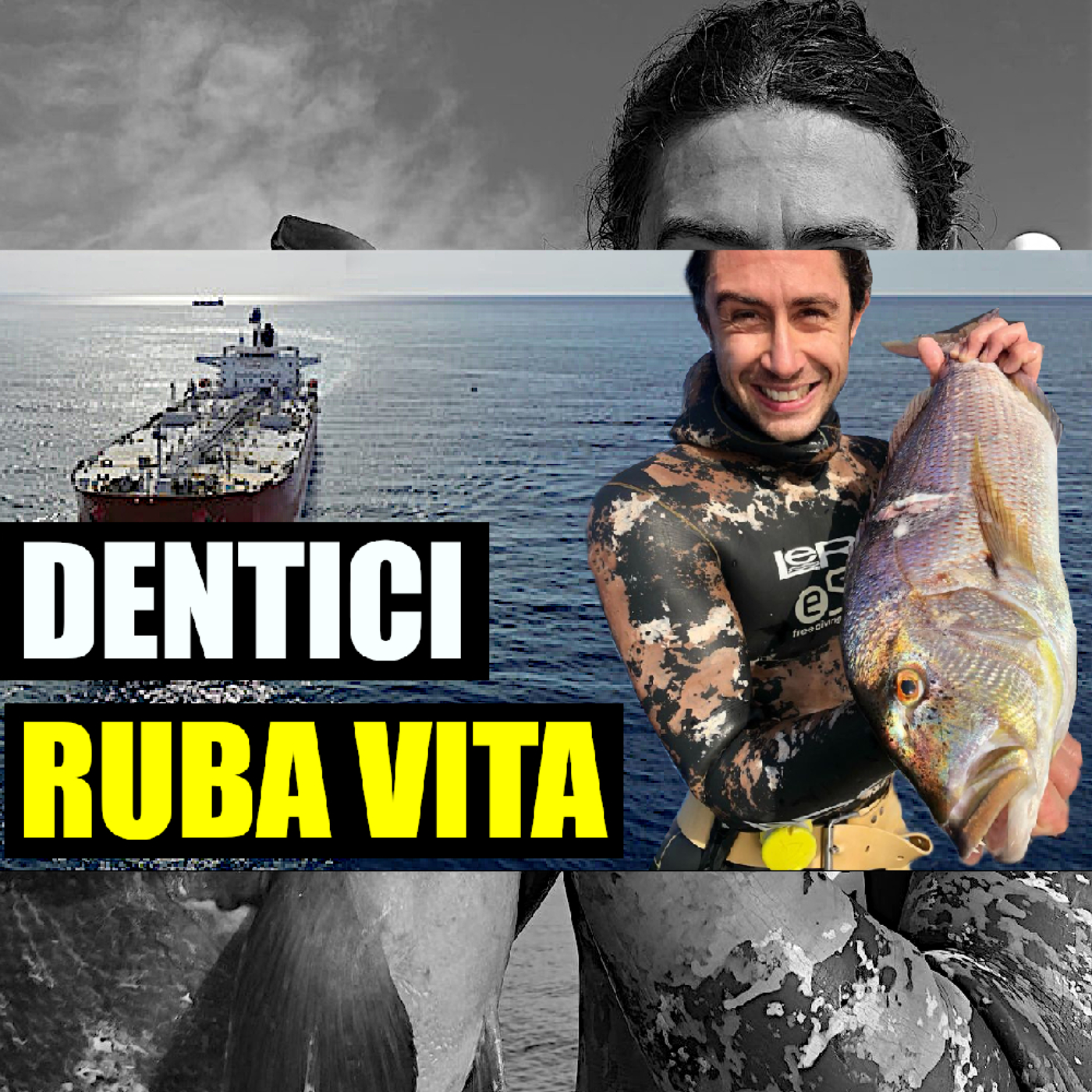 MSA Contro Corrente