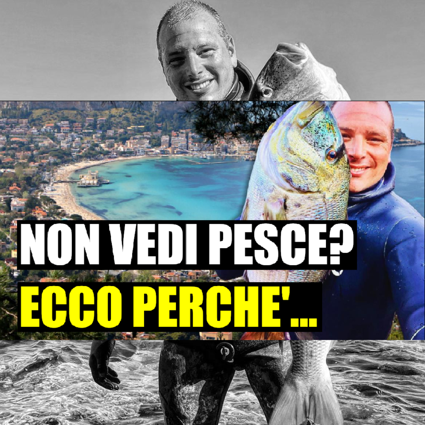 MSA Contro Corrente