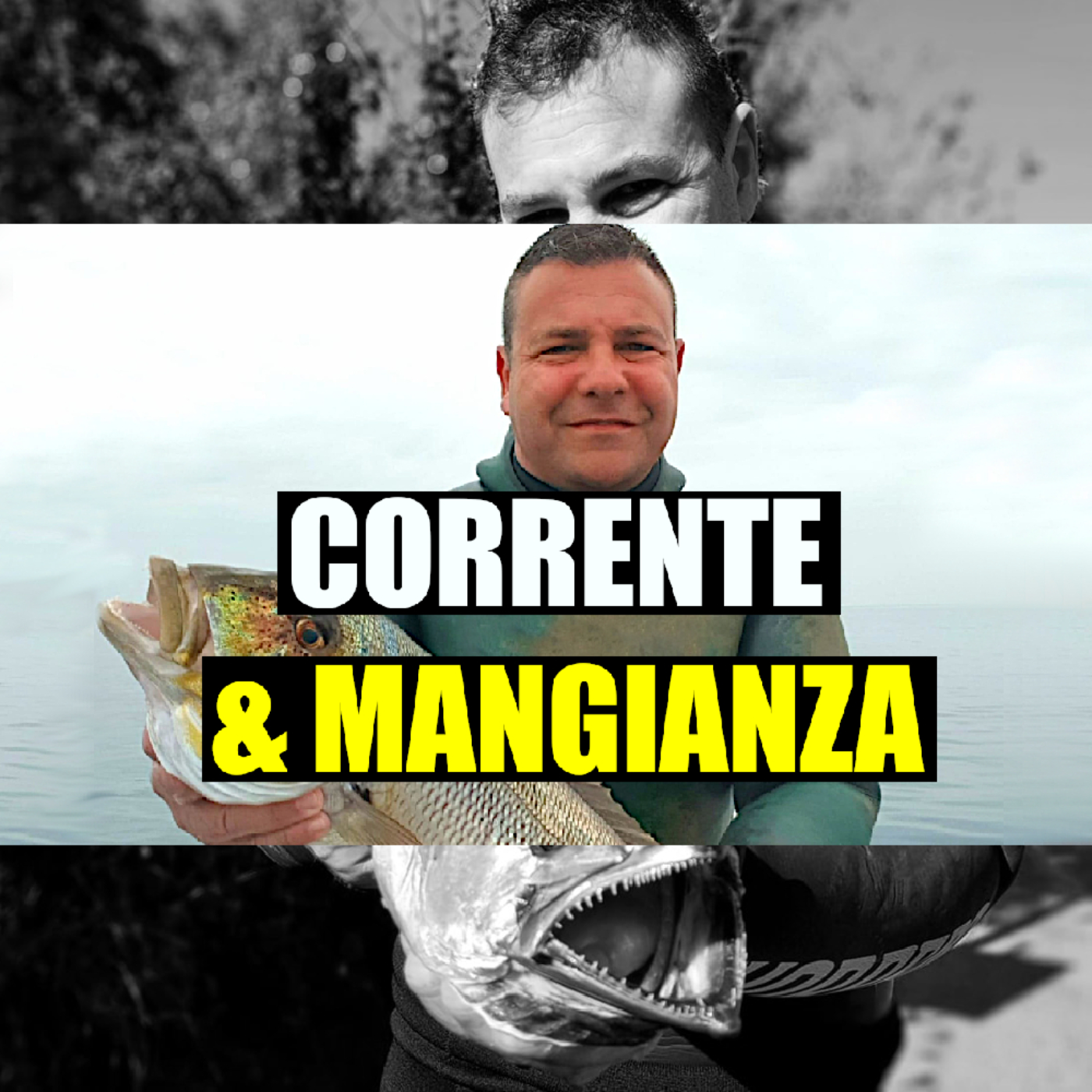 MSA Contro Corrente
