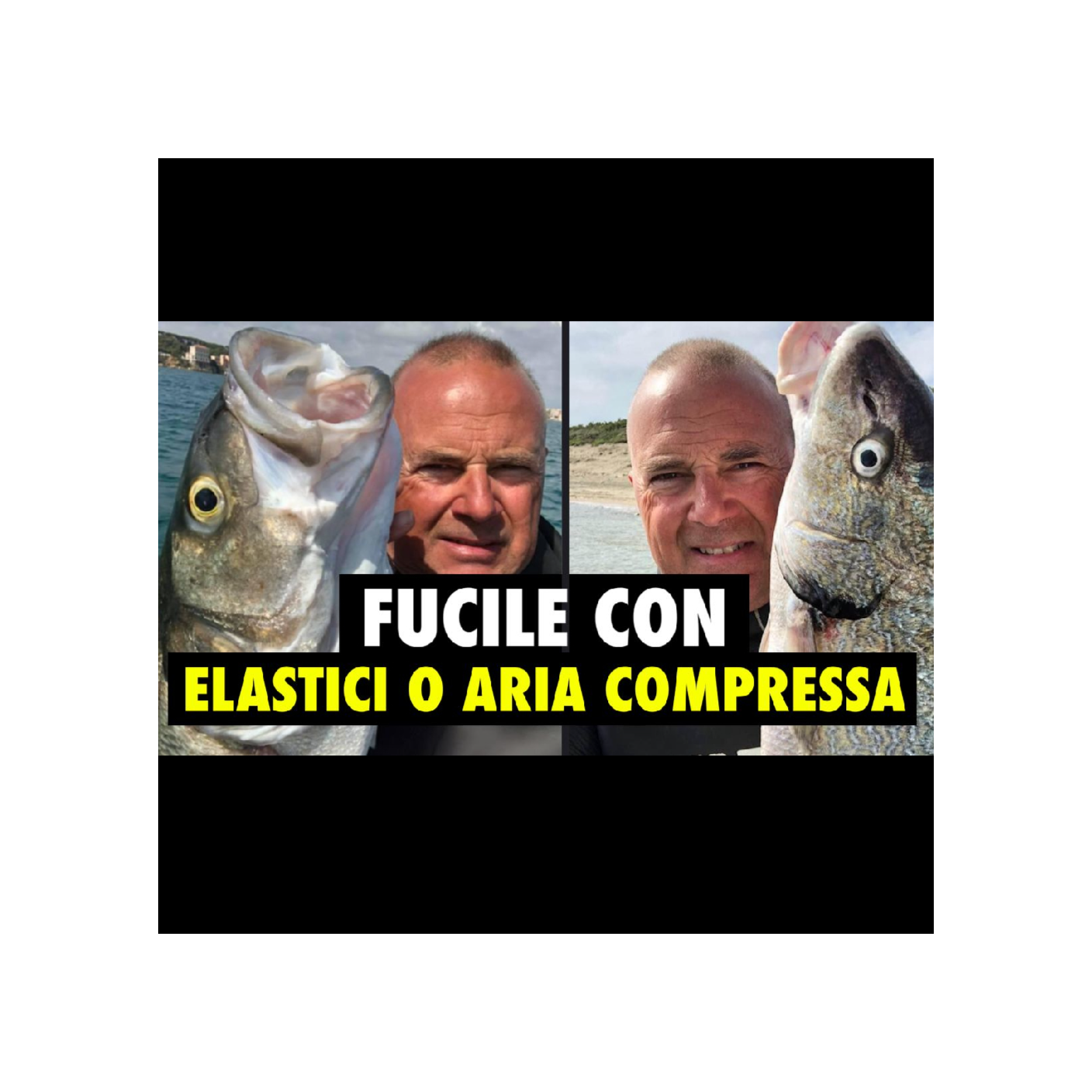 MSA Contro Corrente