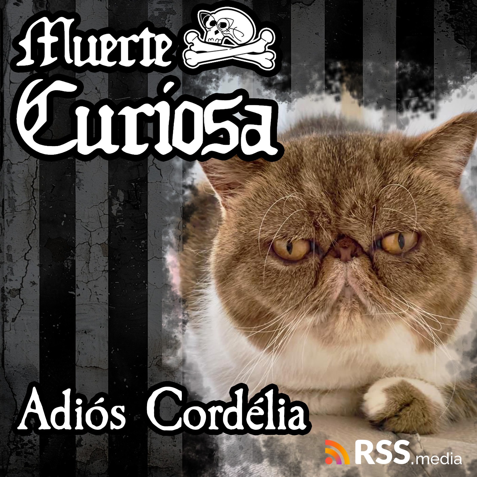Muerte Curiosa