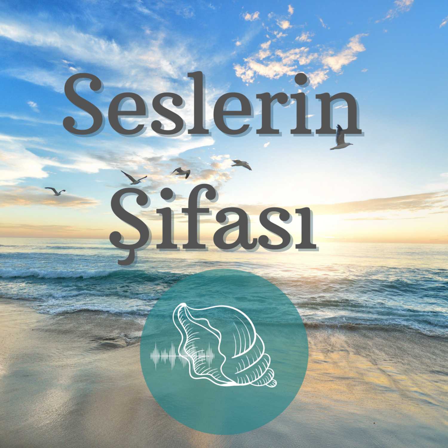 SESLERİN ŞİFASI