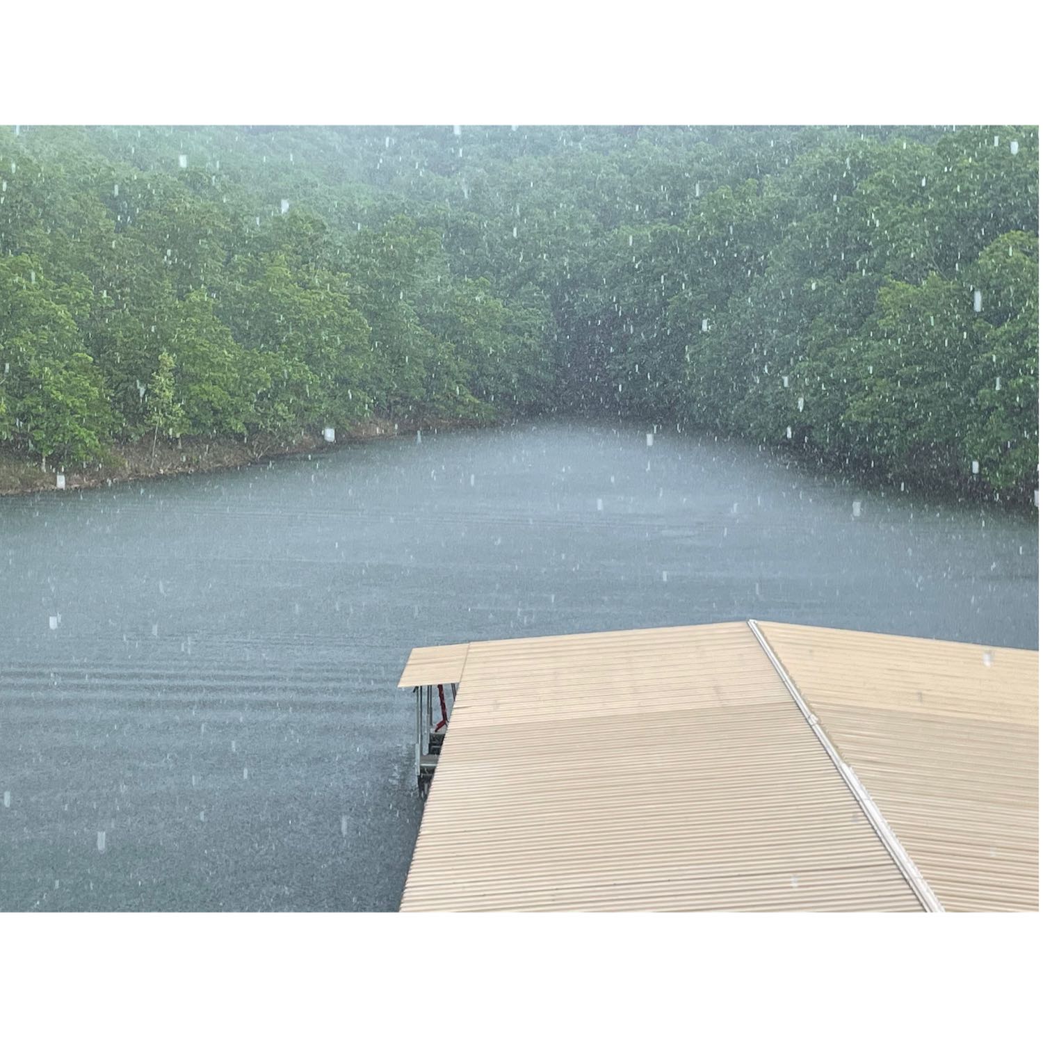 Murder in Missouri cover art