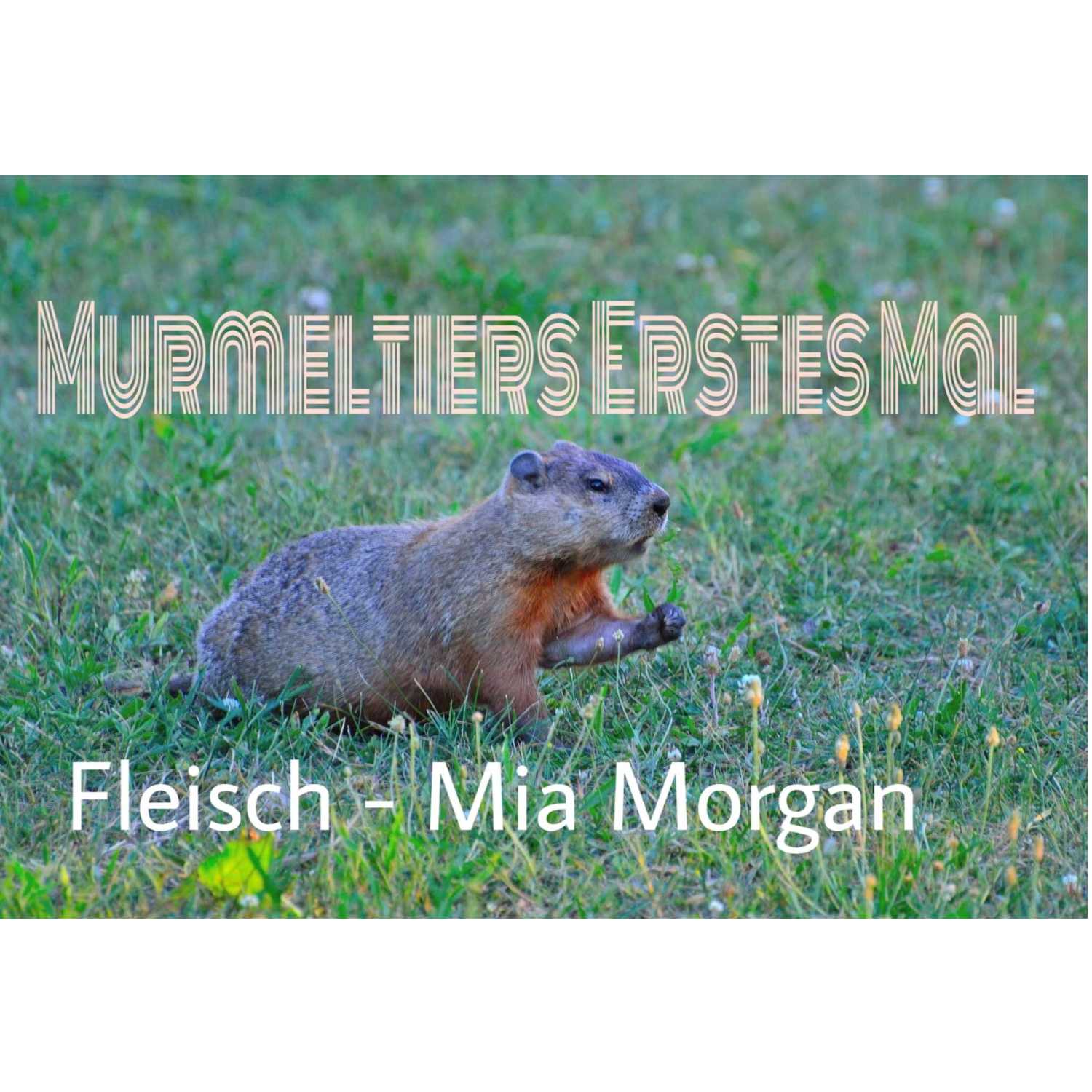 Murmelnde Murmeltiere 2.0