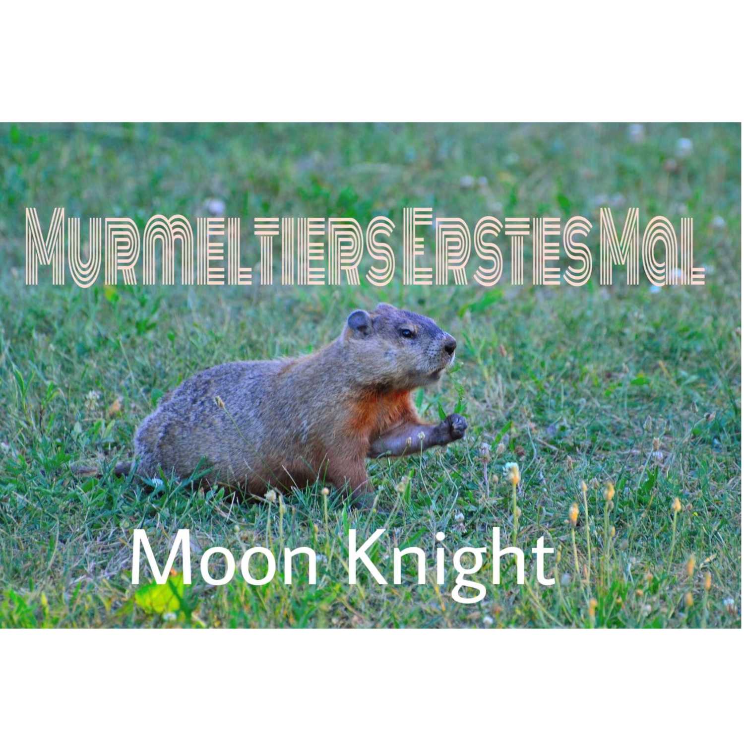 Murmelnde Murmeltiere 2.0