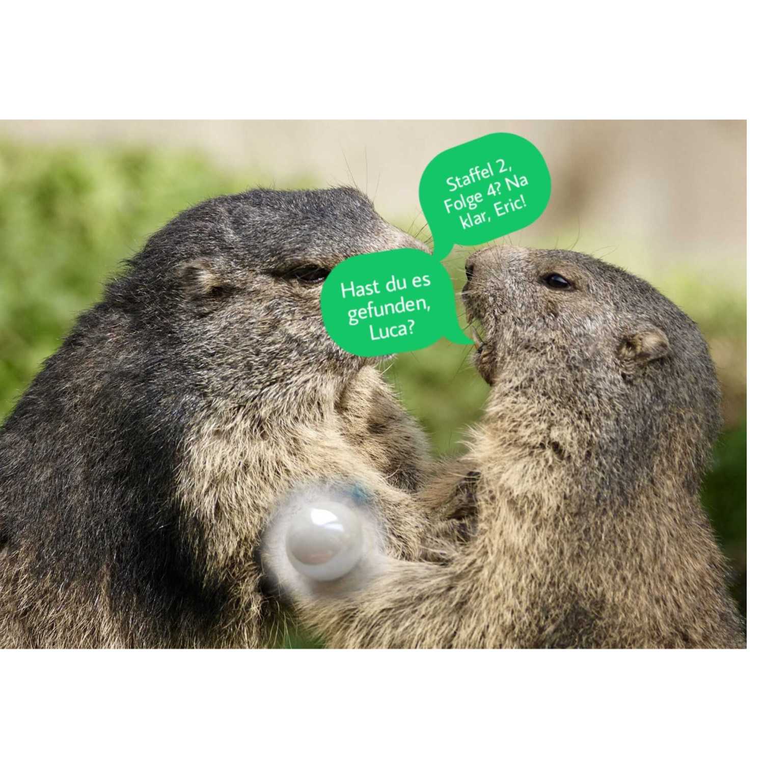 Murmelnde Murmeltiere 2.0