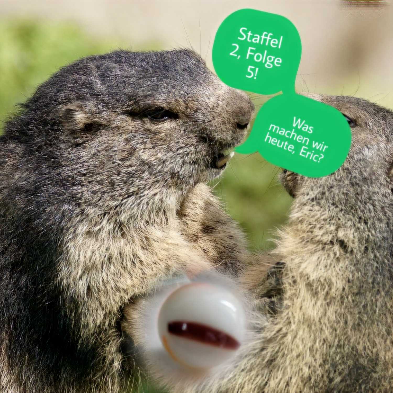 Murmelnde Murmeltiere 2.0