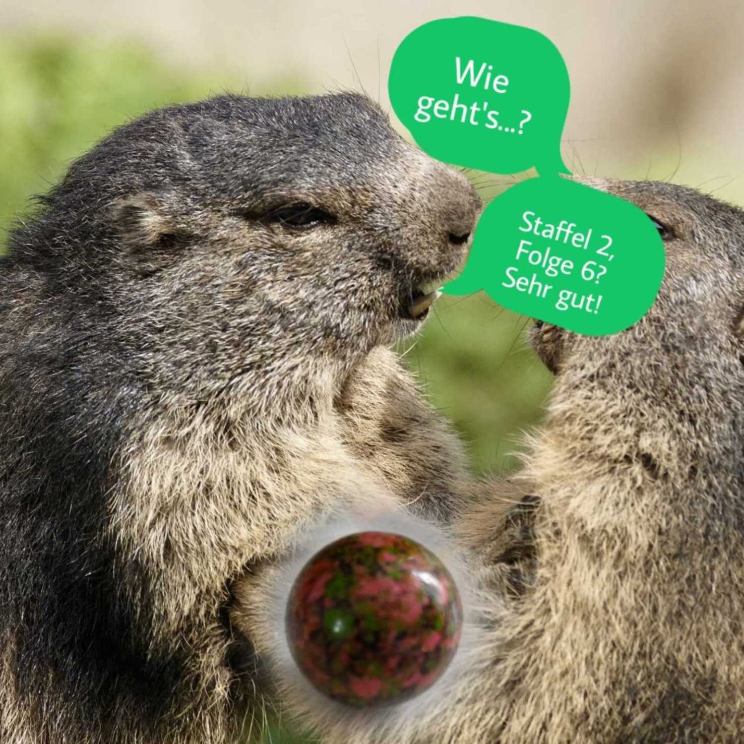 Murmelnde Murmeltiere 2.0