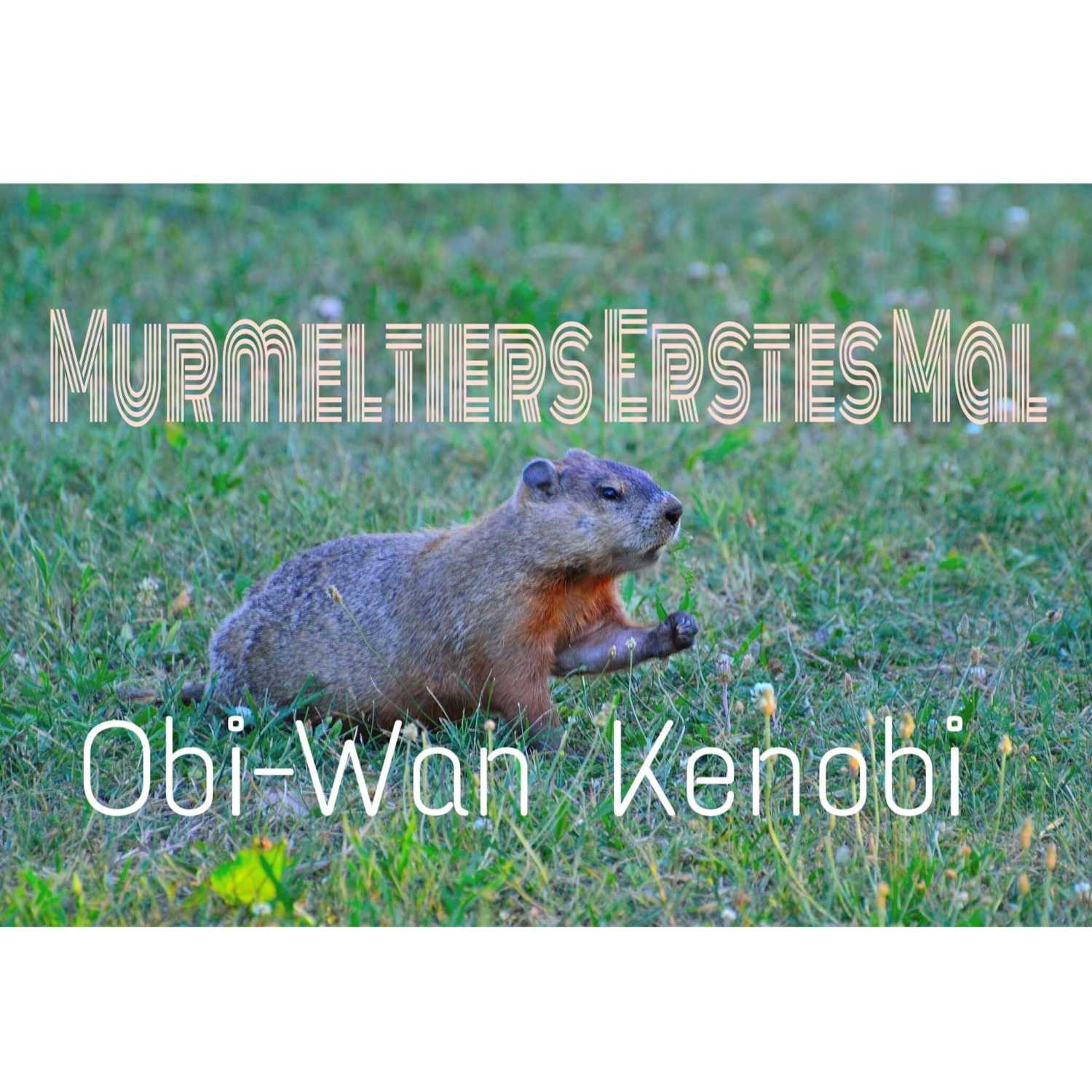 Murmelnde Murmeltiere 2.0