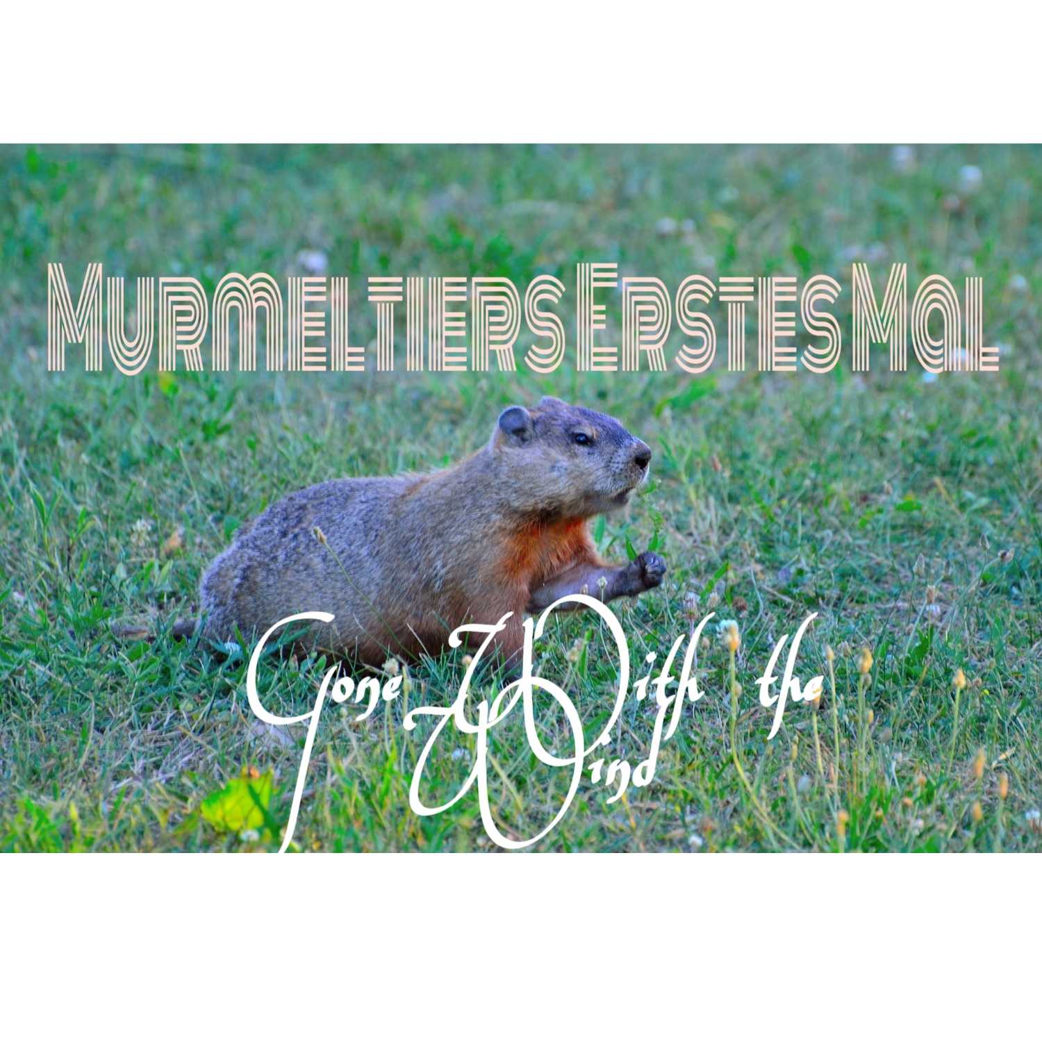 Murmelnde Murmeltiere 2.0