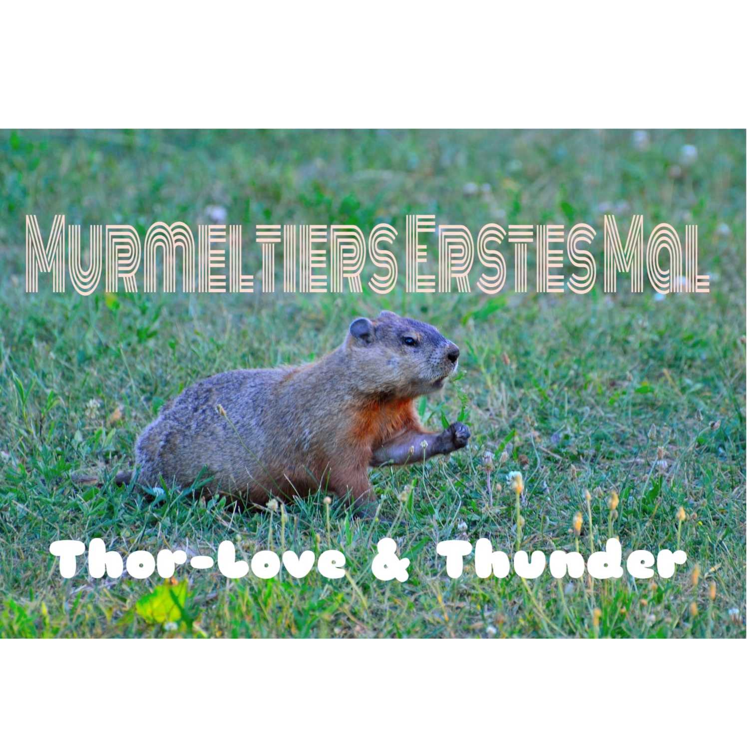 Murmelnde Murmeltiere 2.0