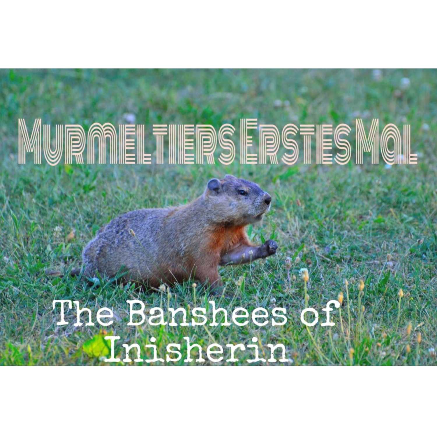 Murmelnde Murmeltiere 2.0