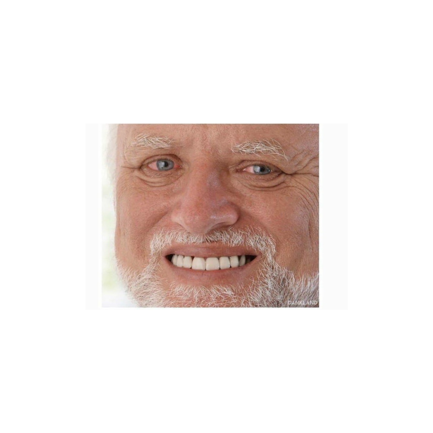 Googa 15