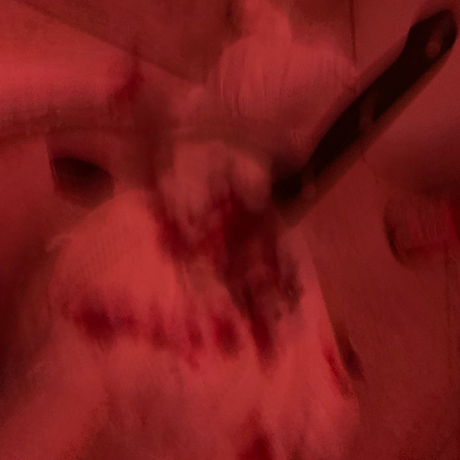 Miss Wanna Die cover art