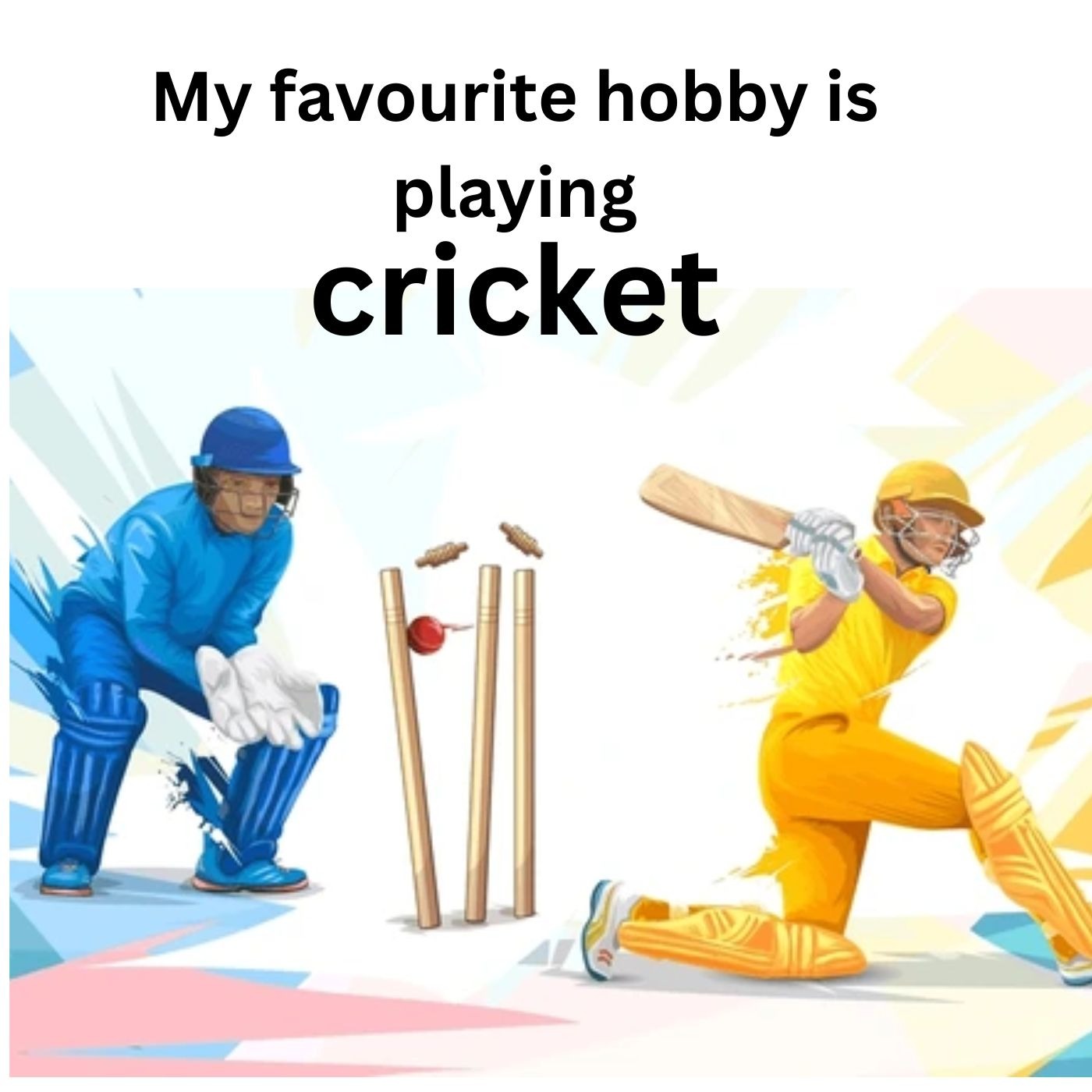 MY FAVOURITE HOBBY