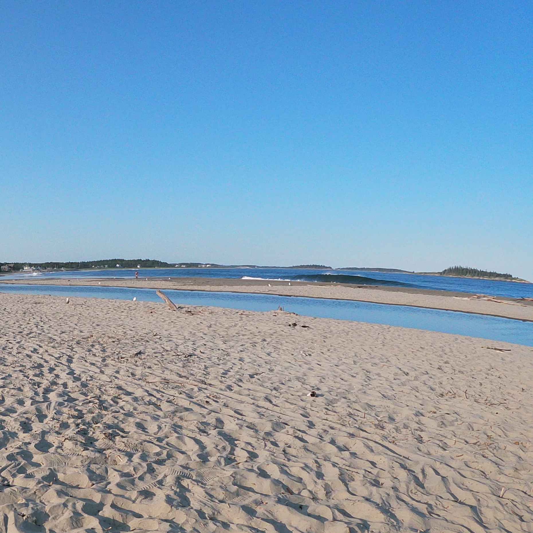 The life of Nick pod cover art