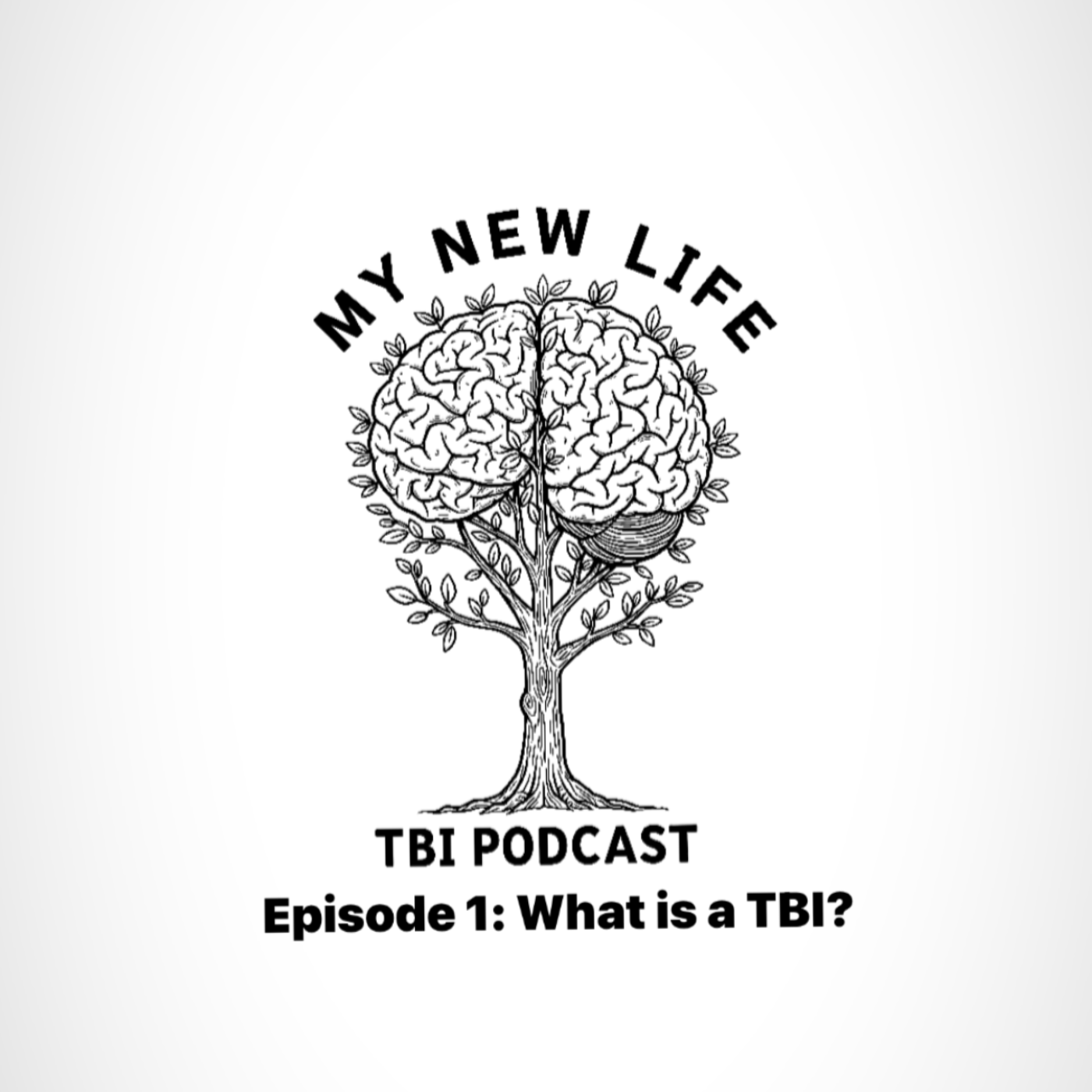 My New Life: TBI Podcast   Episode 1: What is a TBI? episode artwork