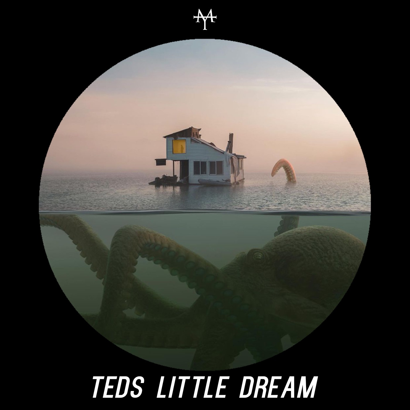 Ep 48: Teds Little Dream