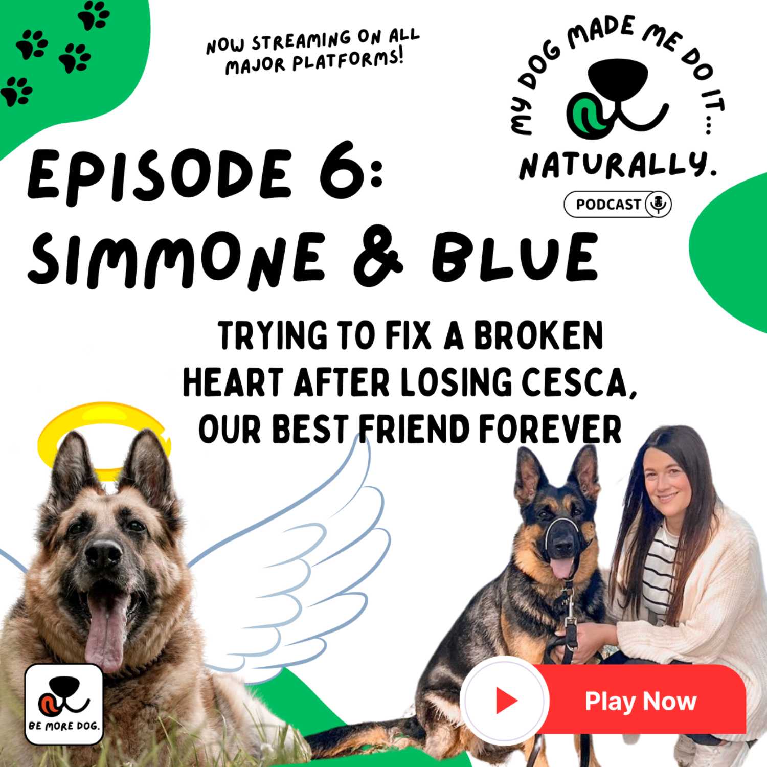 My Dog Made Me Do It...Naturally!
