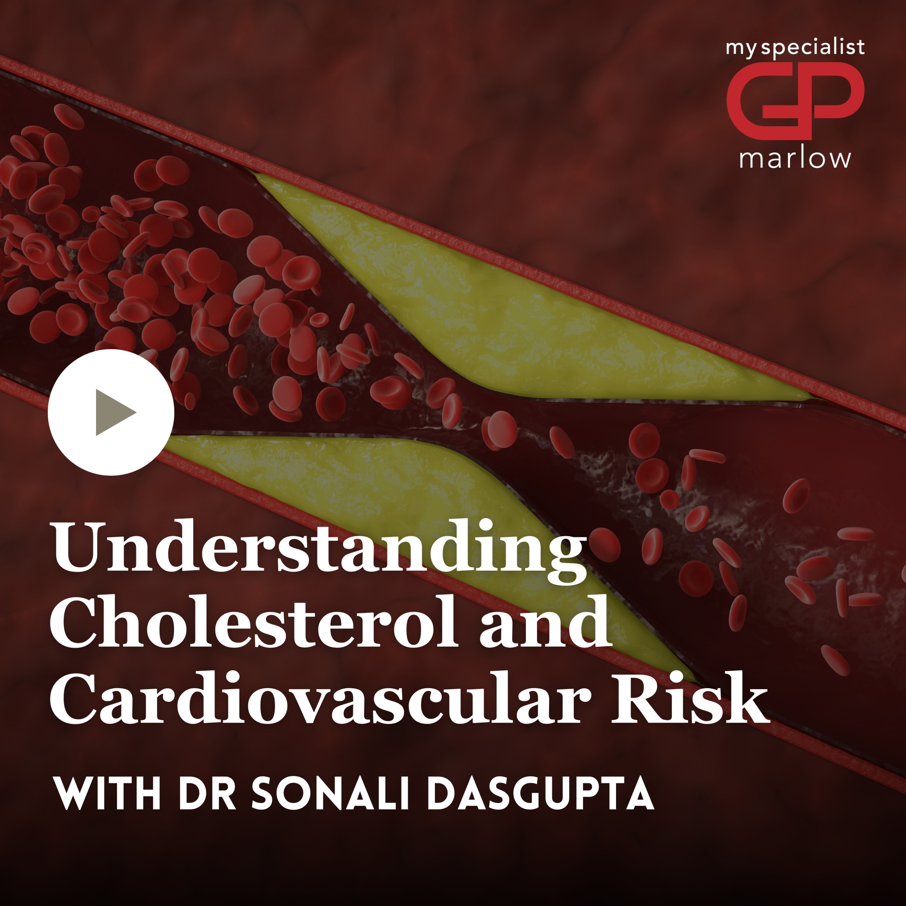 Understanding Cholesterol and Cardiovascular Risk episode artwork