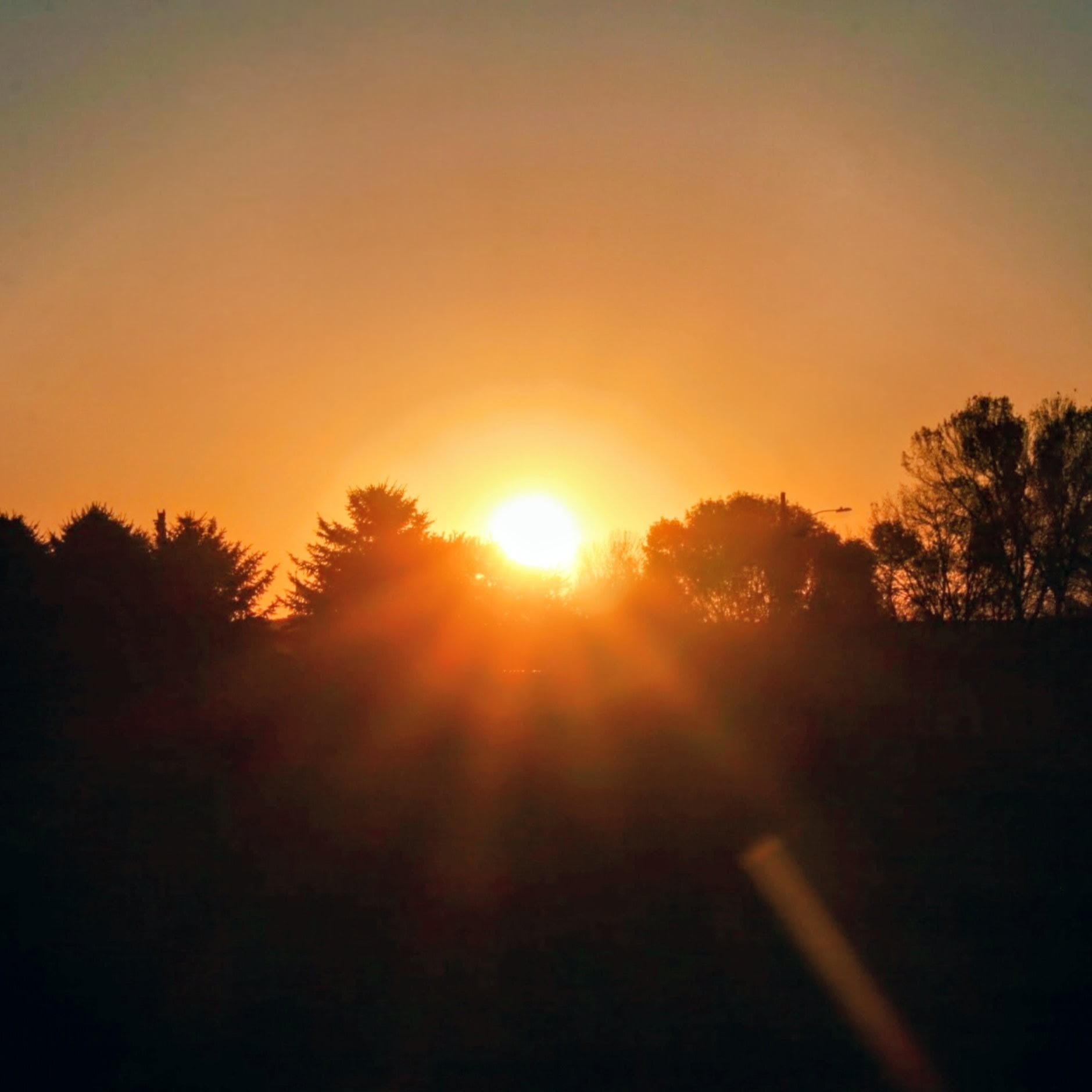 GOD'S MISSION FIELD 